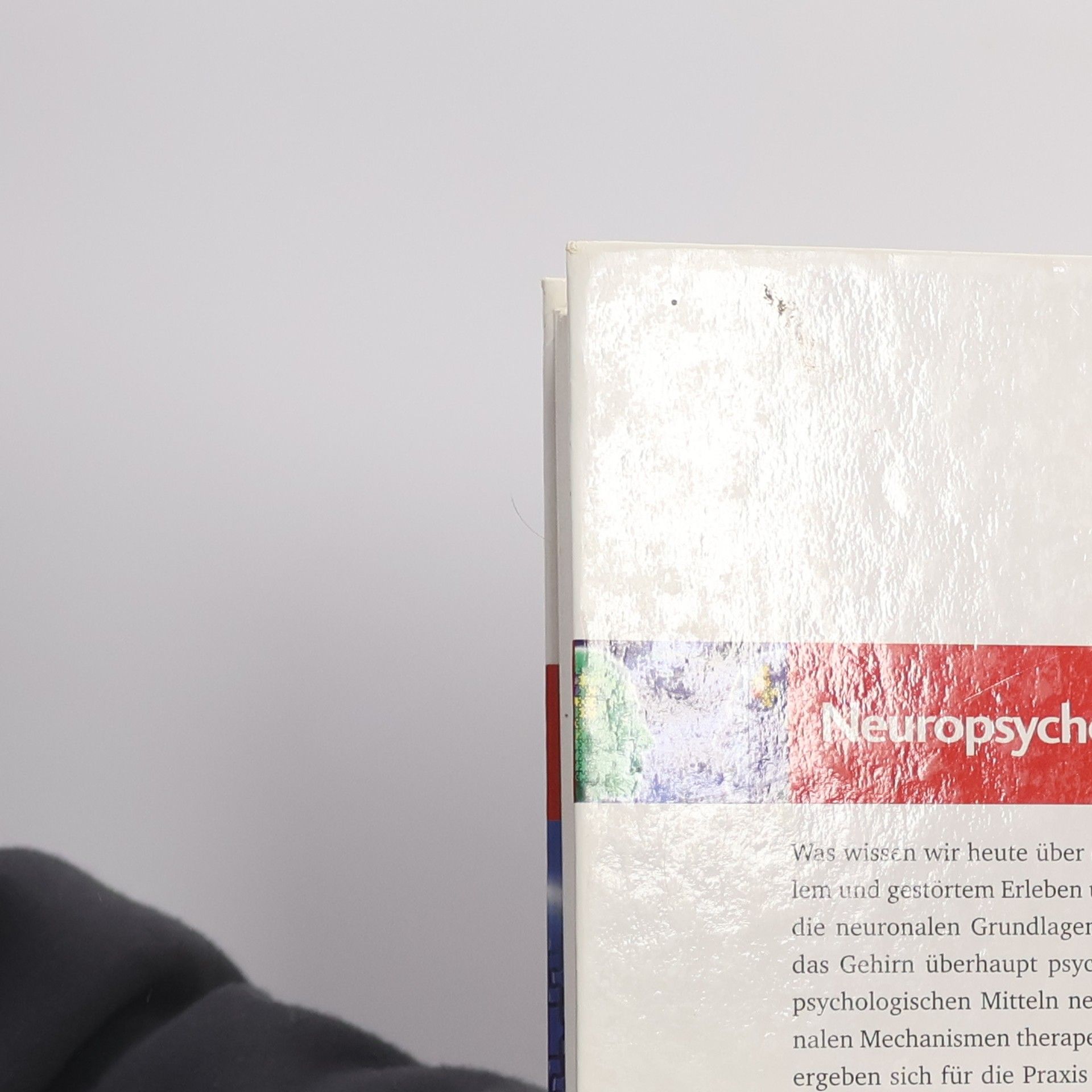 Klaus Grawe Neuropsychotherapie