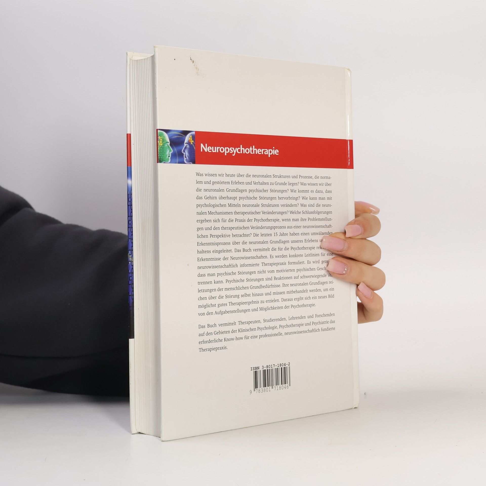 Klaus Grawe Neuropsychotherapie