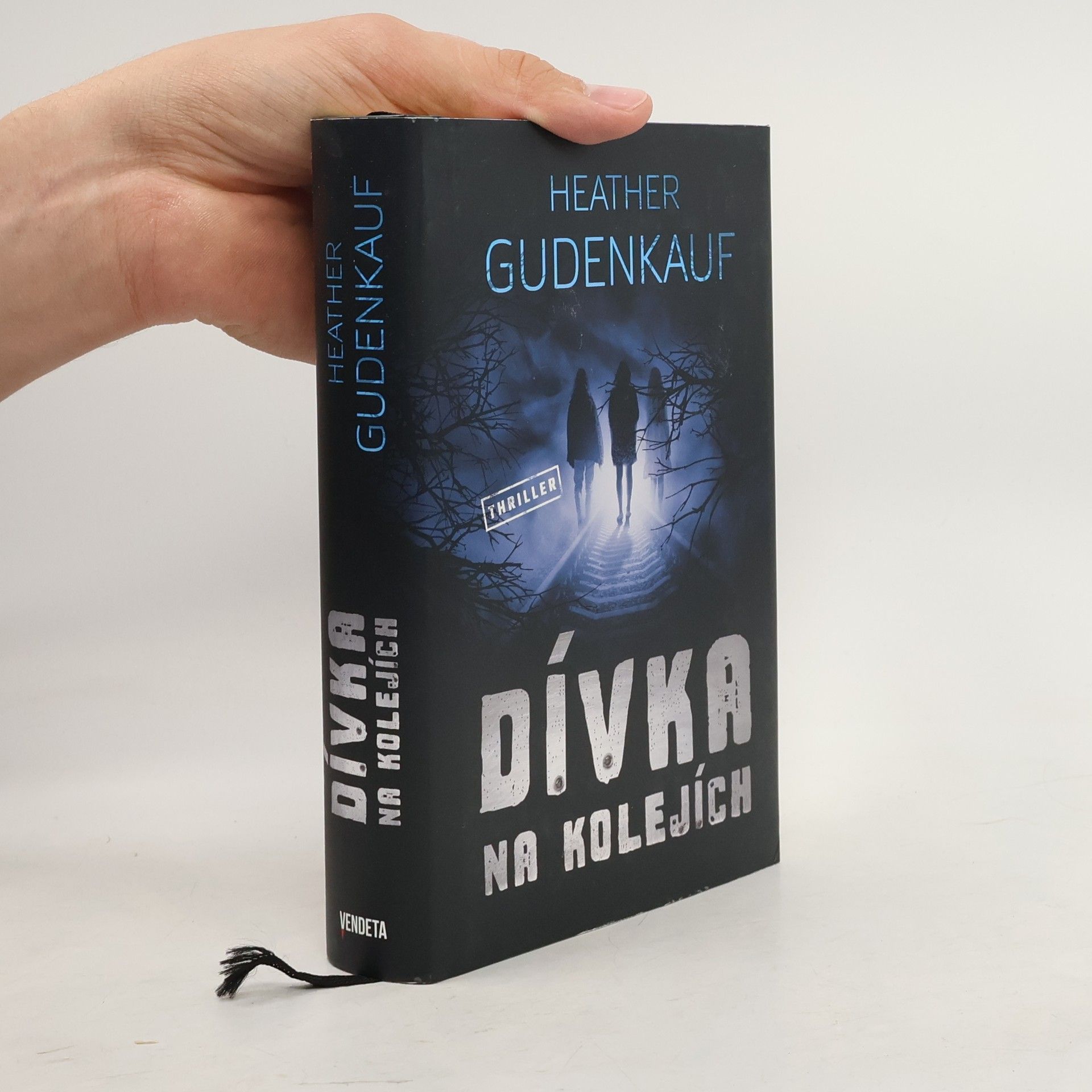 Heather Gudenkauf Dívka na kolejích