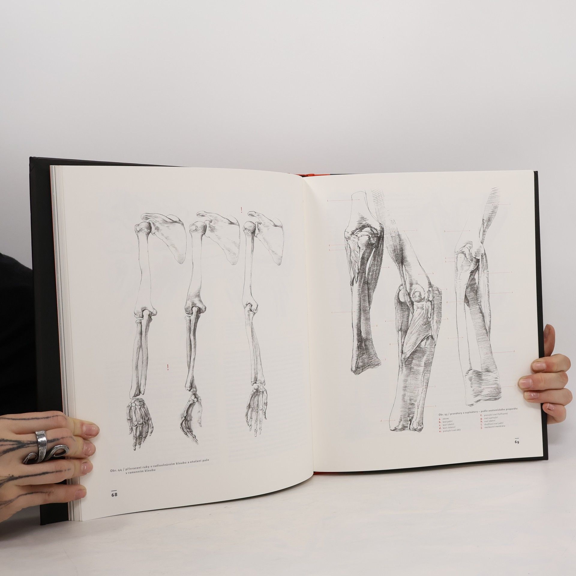 Radek Petříček Výtvarná anatomie