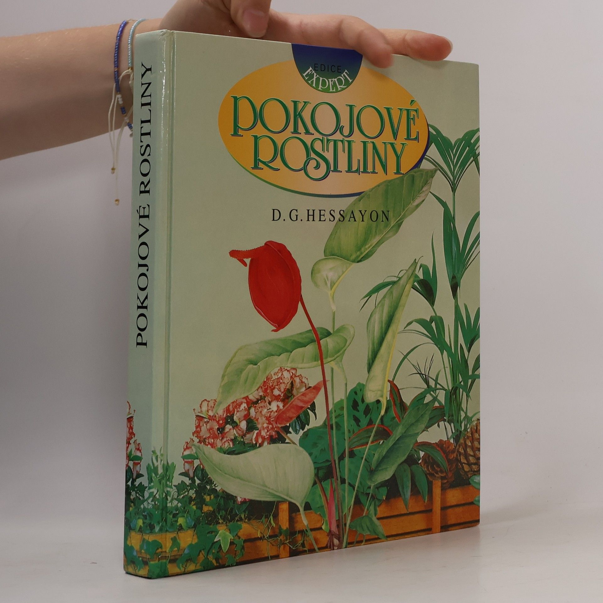 Pokojové rostliny