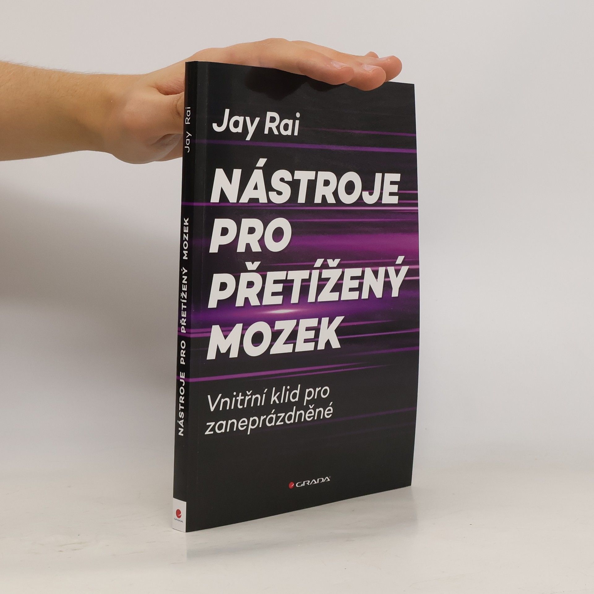 Jay Rai Nástroje pro přetížený mozek: Vnitřní klid pro zaneprázdněné