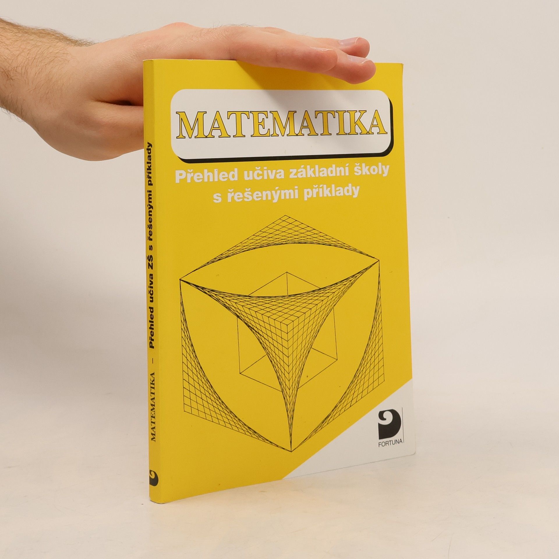 Jelena Tomićević Matematika. Přehled učiva základní školy s řešenými příklady