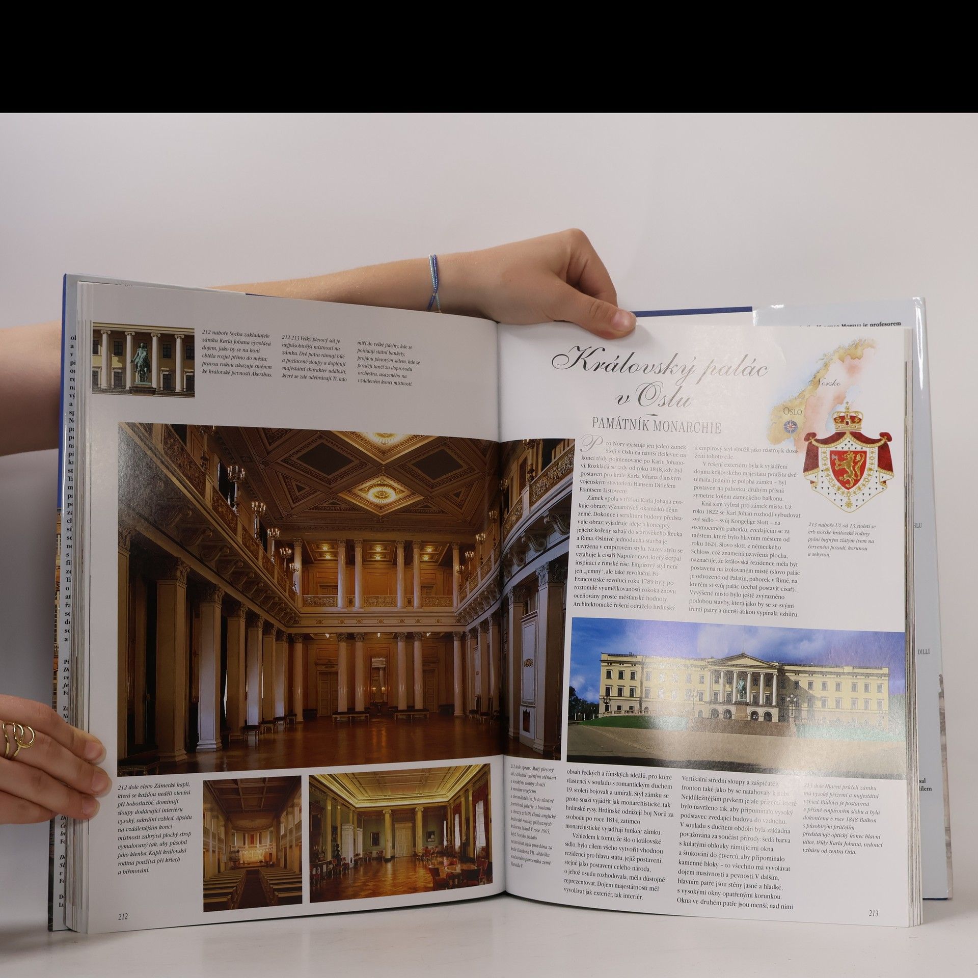 Morelli Královské paláce světa