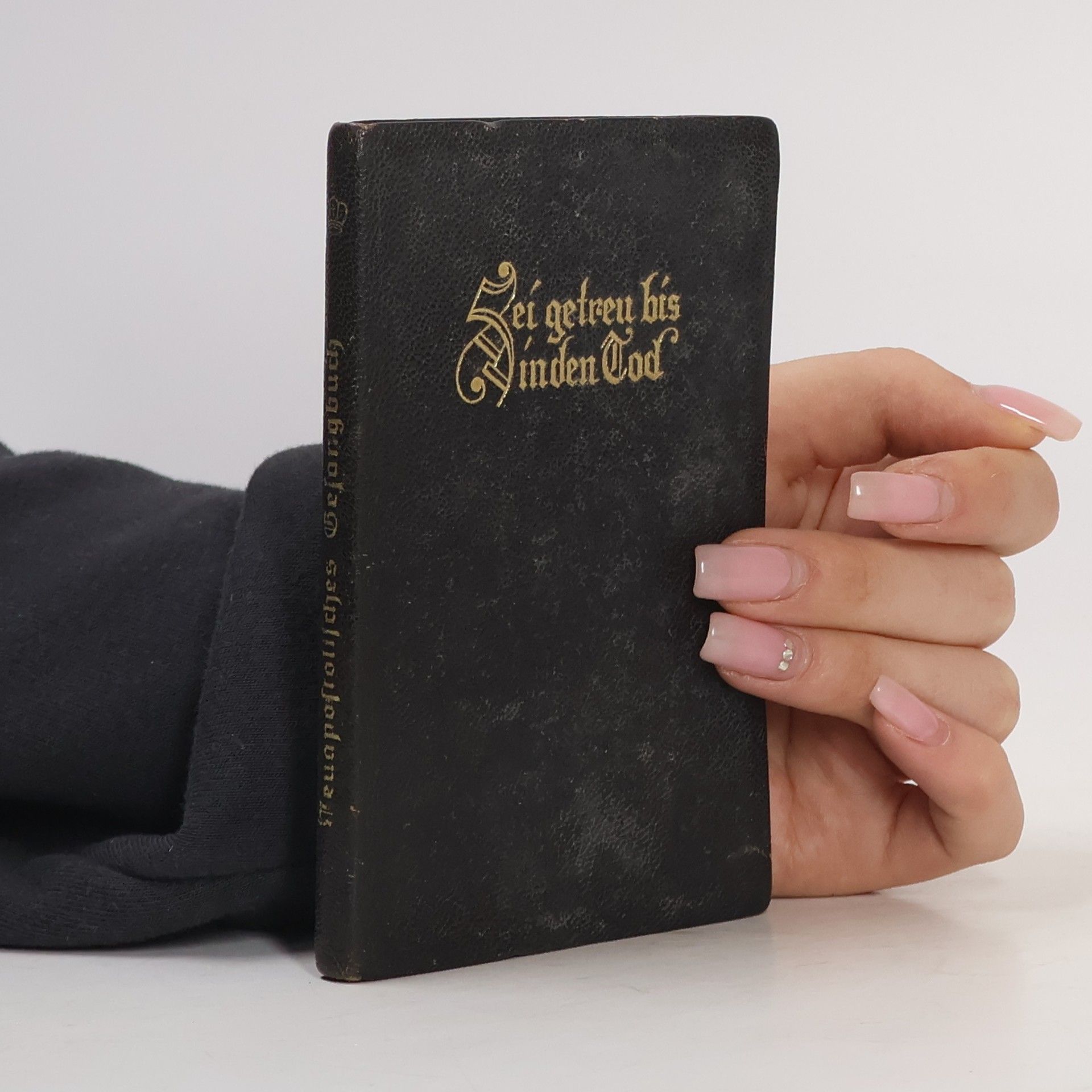 Autores varios Neuapostolisches Gesangbuch
