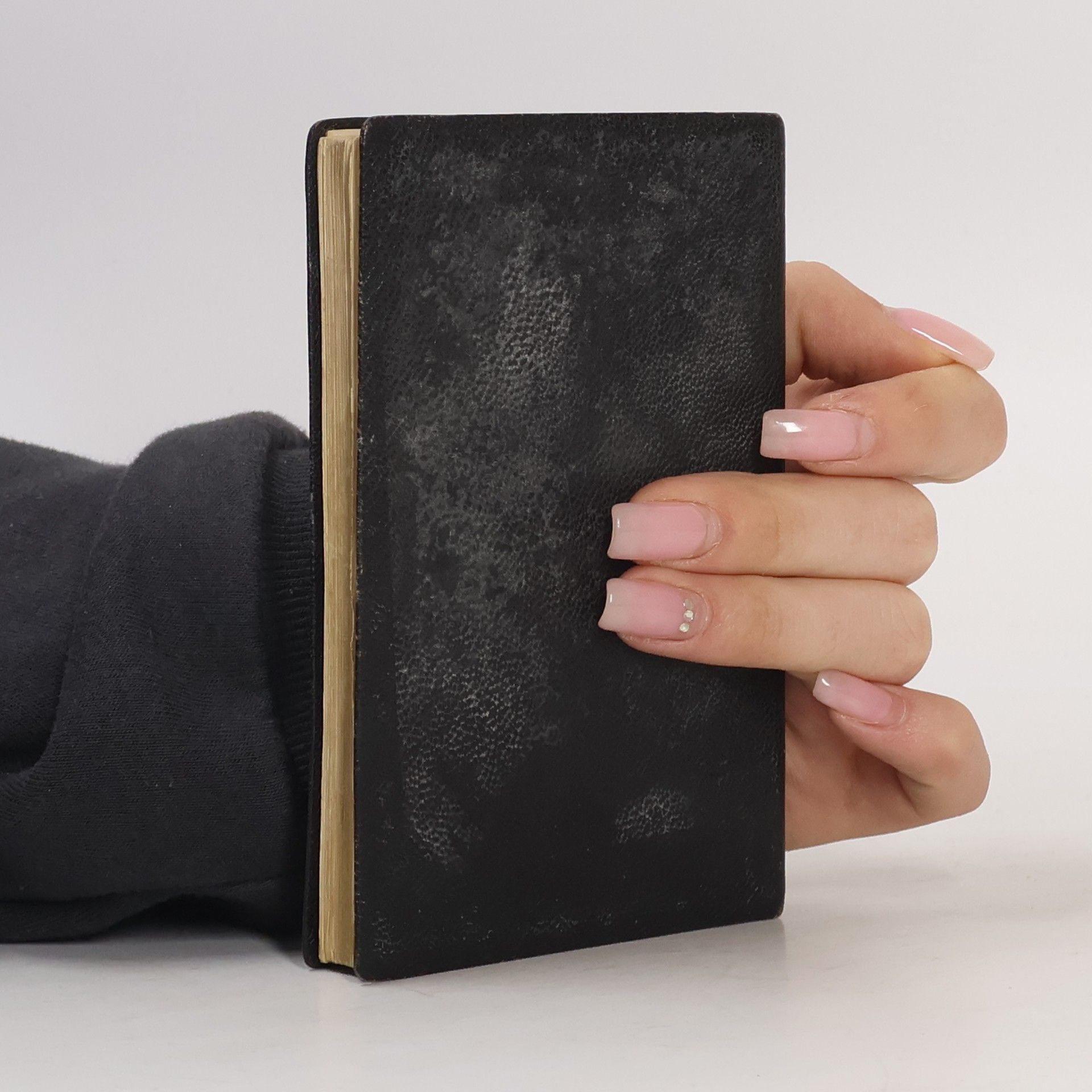 Autorenkollektiv Neuapostolisches Gesangbuch