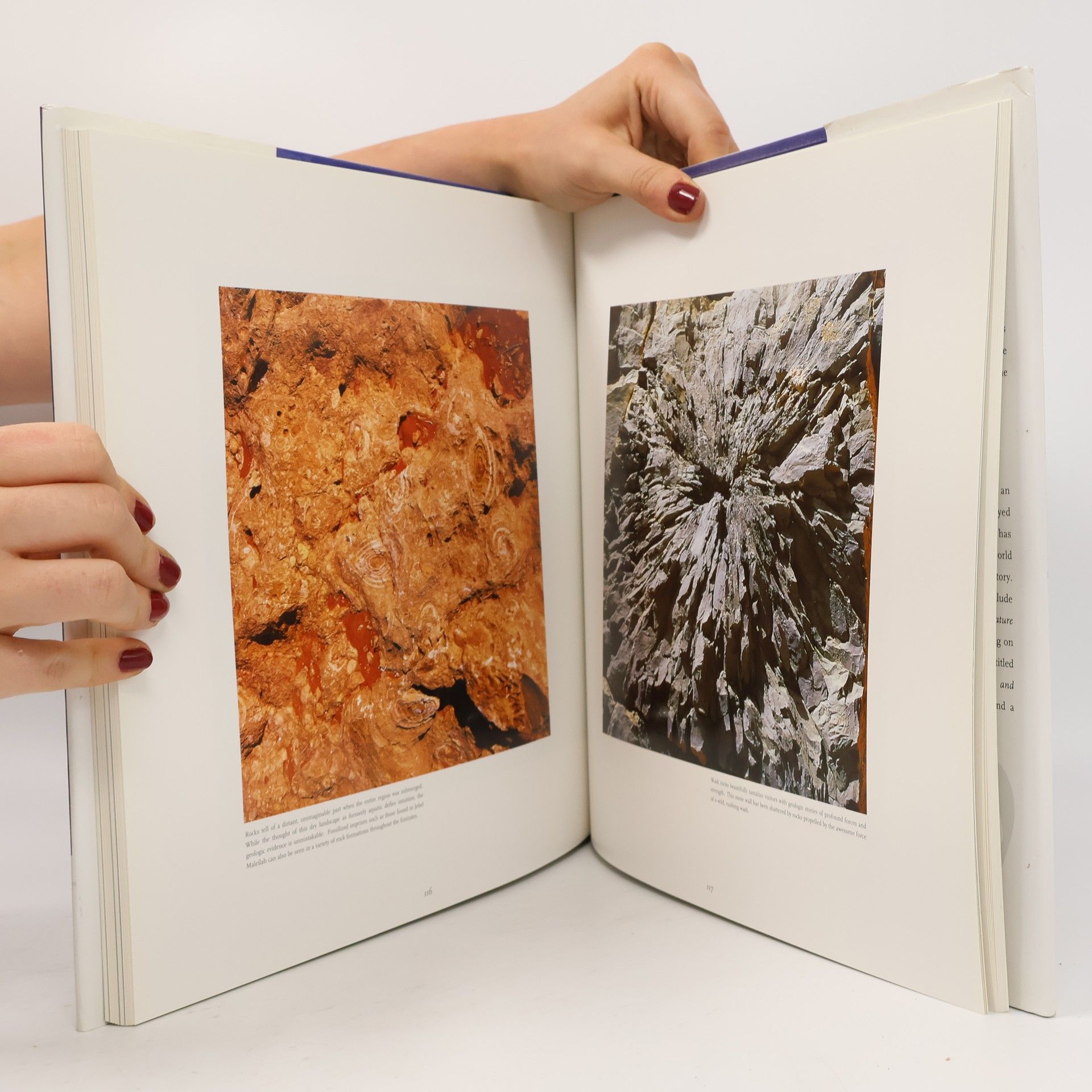 Pamela Grist Images of Dubai and the United Arab Emirates