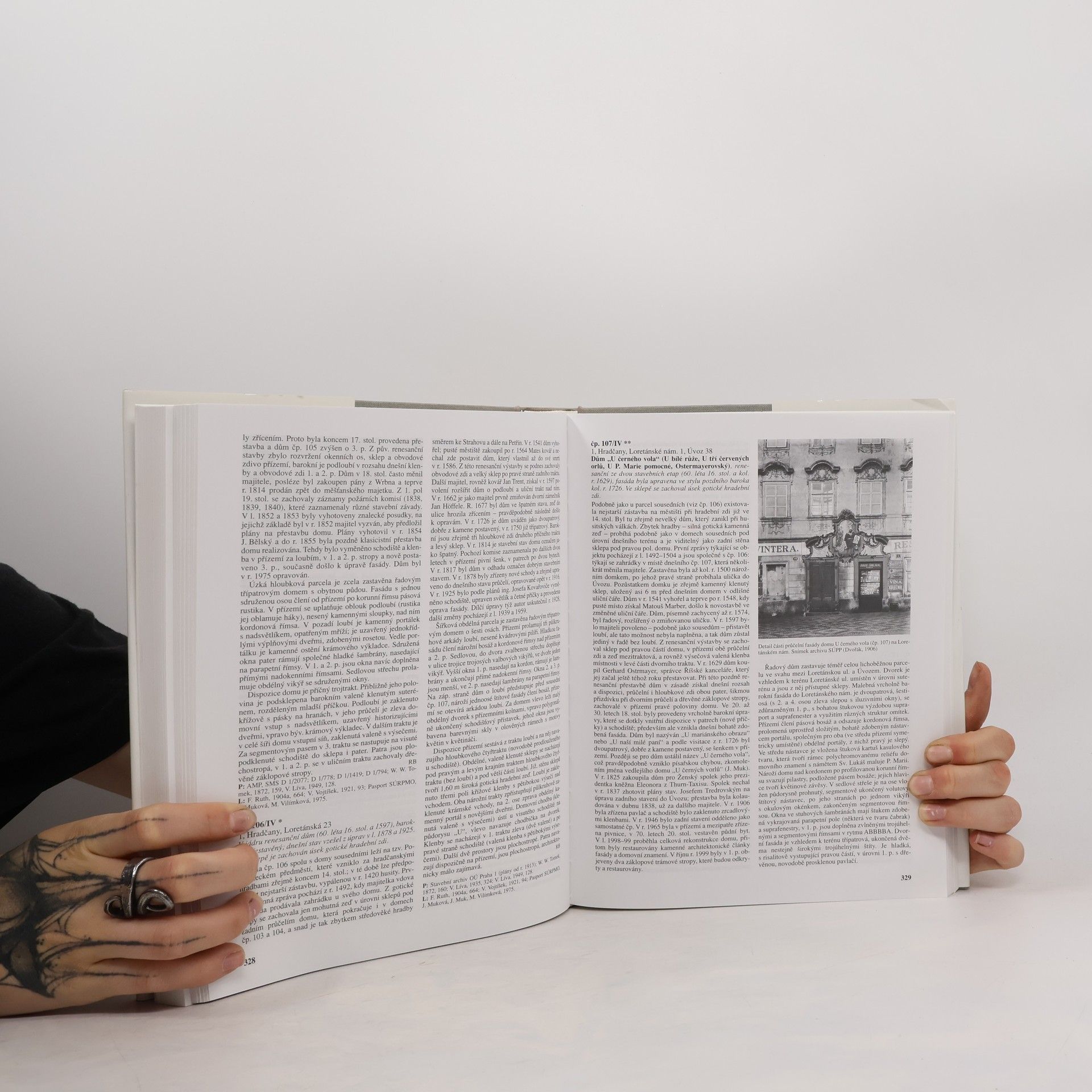 Pavel Vlček Umělecké památky Prahy 4. - Pražský hrad a Hradčany