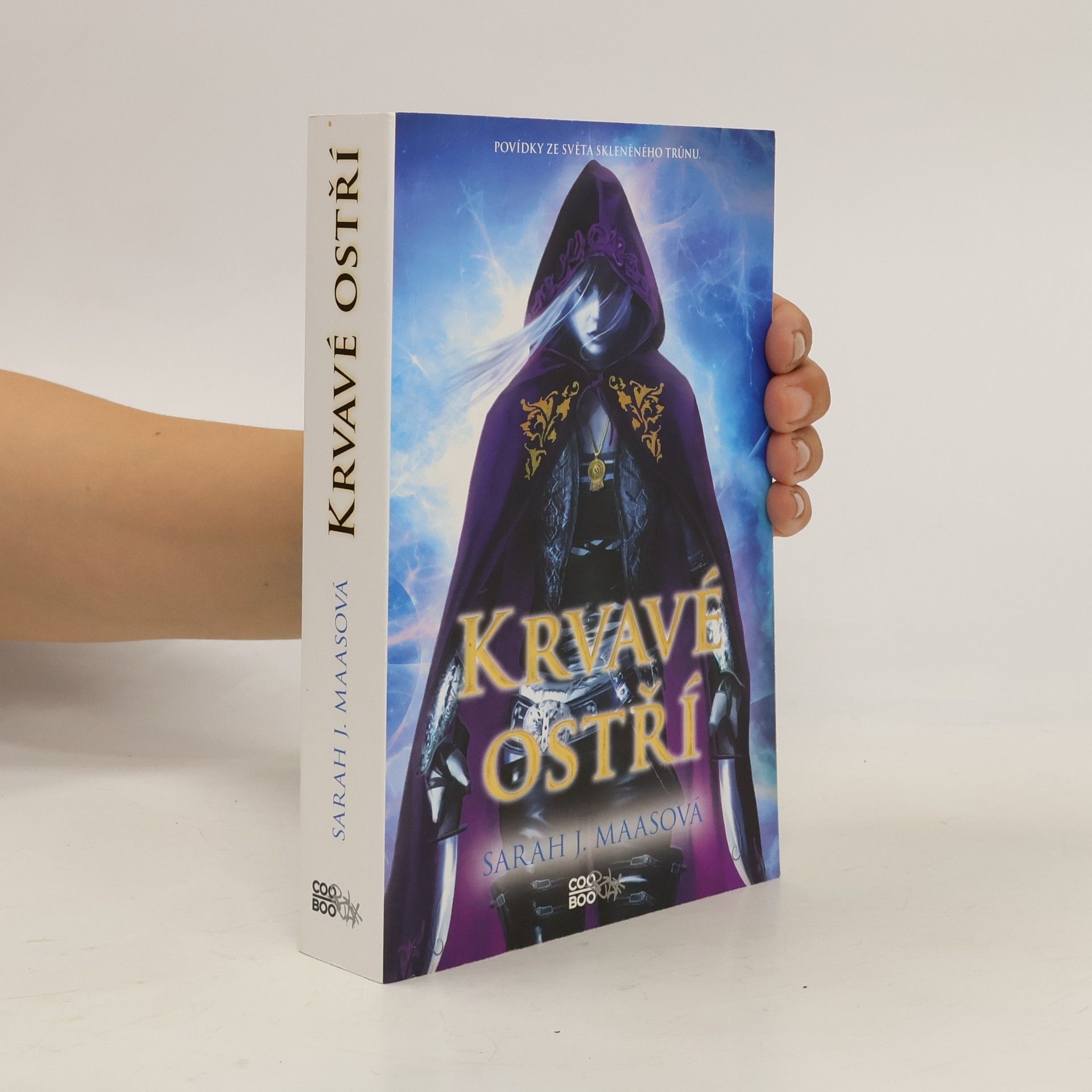 Sarah J. Maas Krvavé ostří