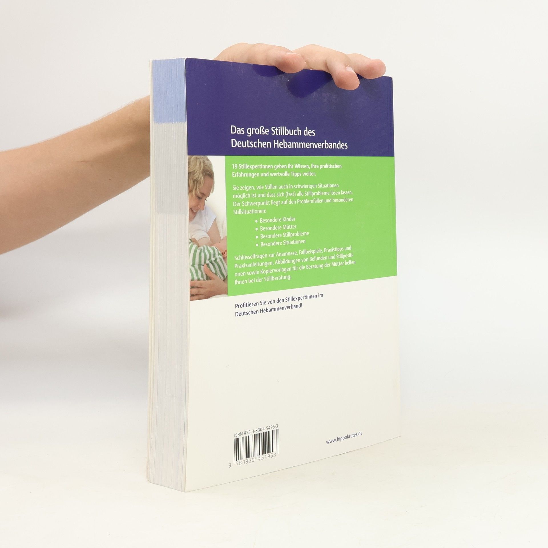 Renate Egelkraut DHV-Expertinnenwissen: Praxisbuch: besondere Stillsituationen