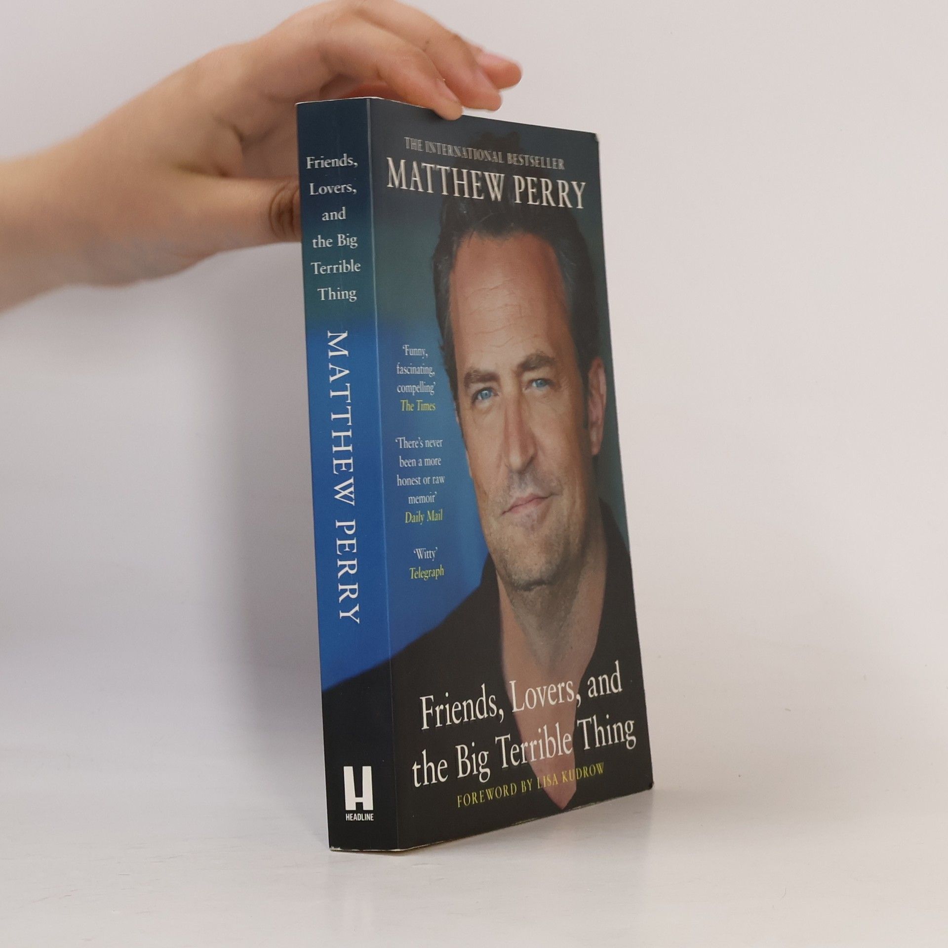 Matthew Perry Friends, Lovers and the Big Terrible Thing