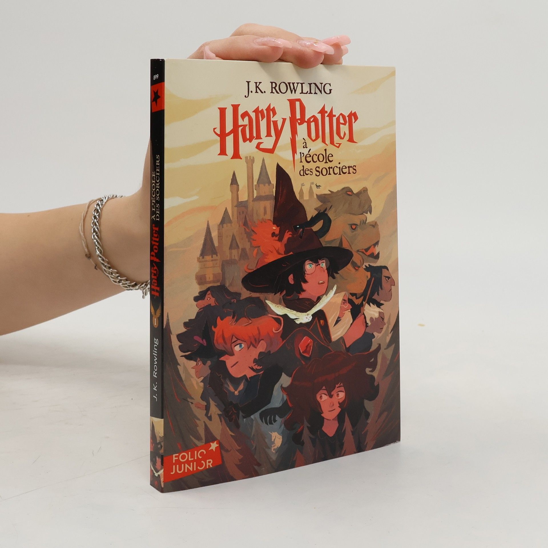 Joanne K. Rowlingová Harry Potter 1 à l'école des sorciers