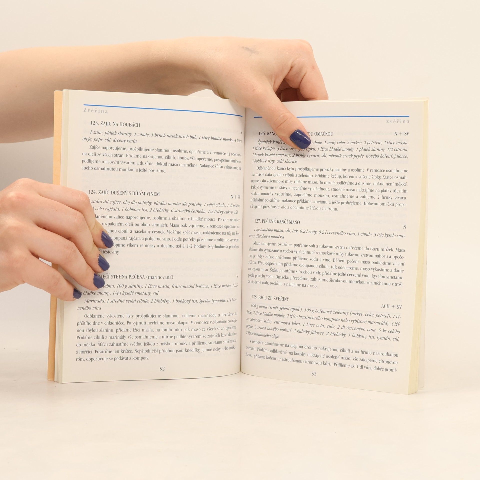 Various authors Receptář a návod k použití. 300 receptů