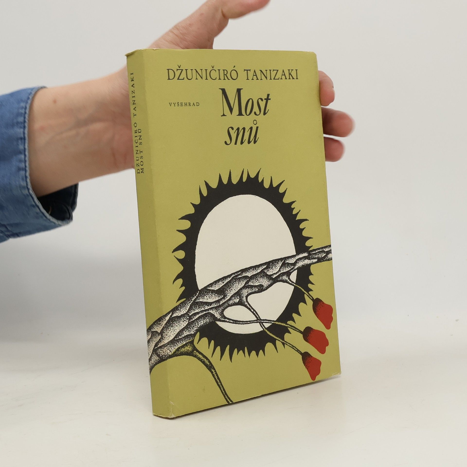 Džun’ičiró Tanizaki Most snů