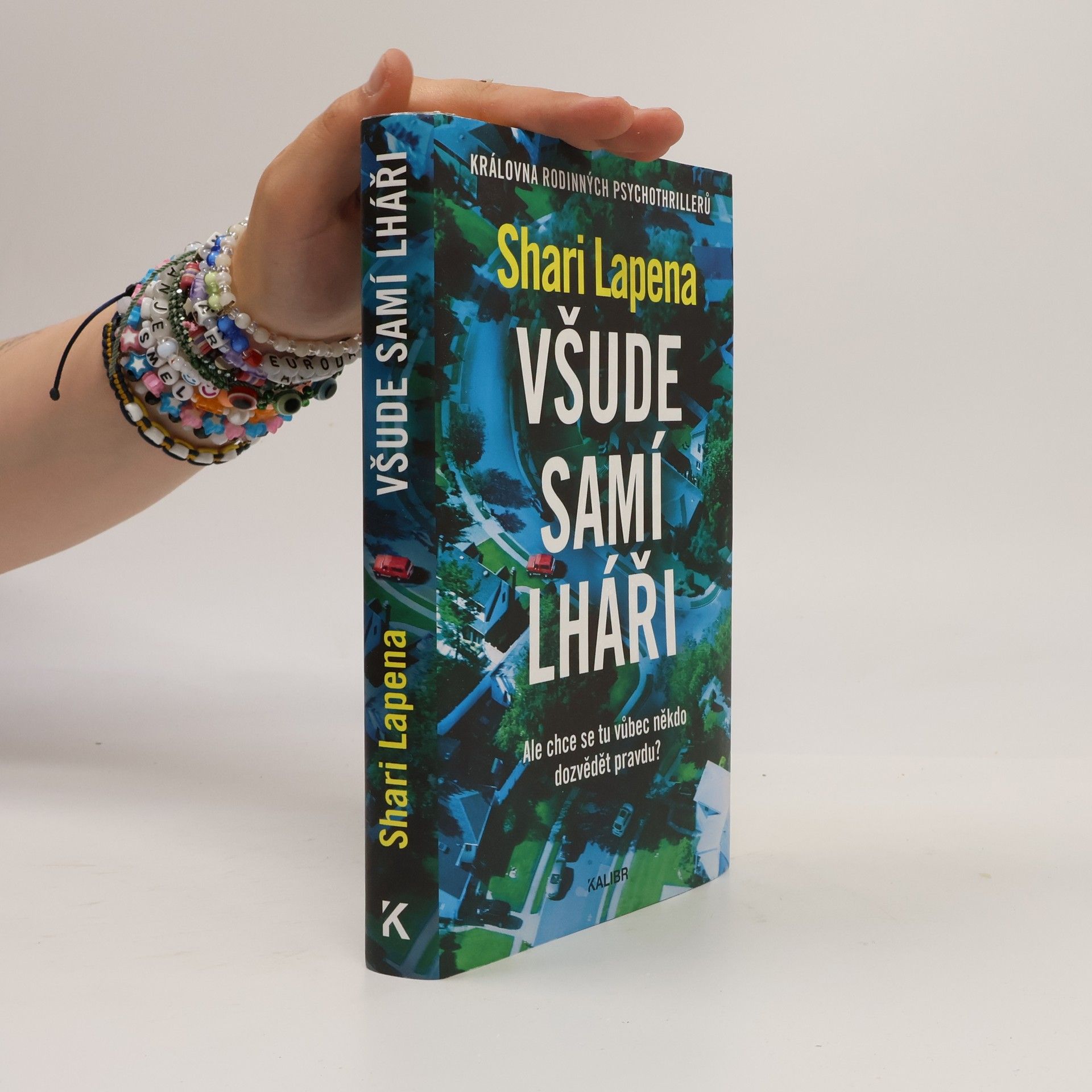 Shari Lapena Všude samí lháři