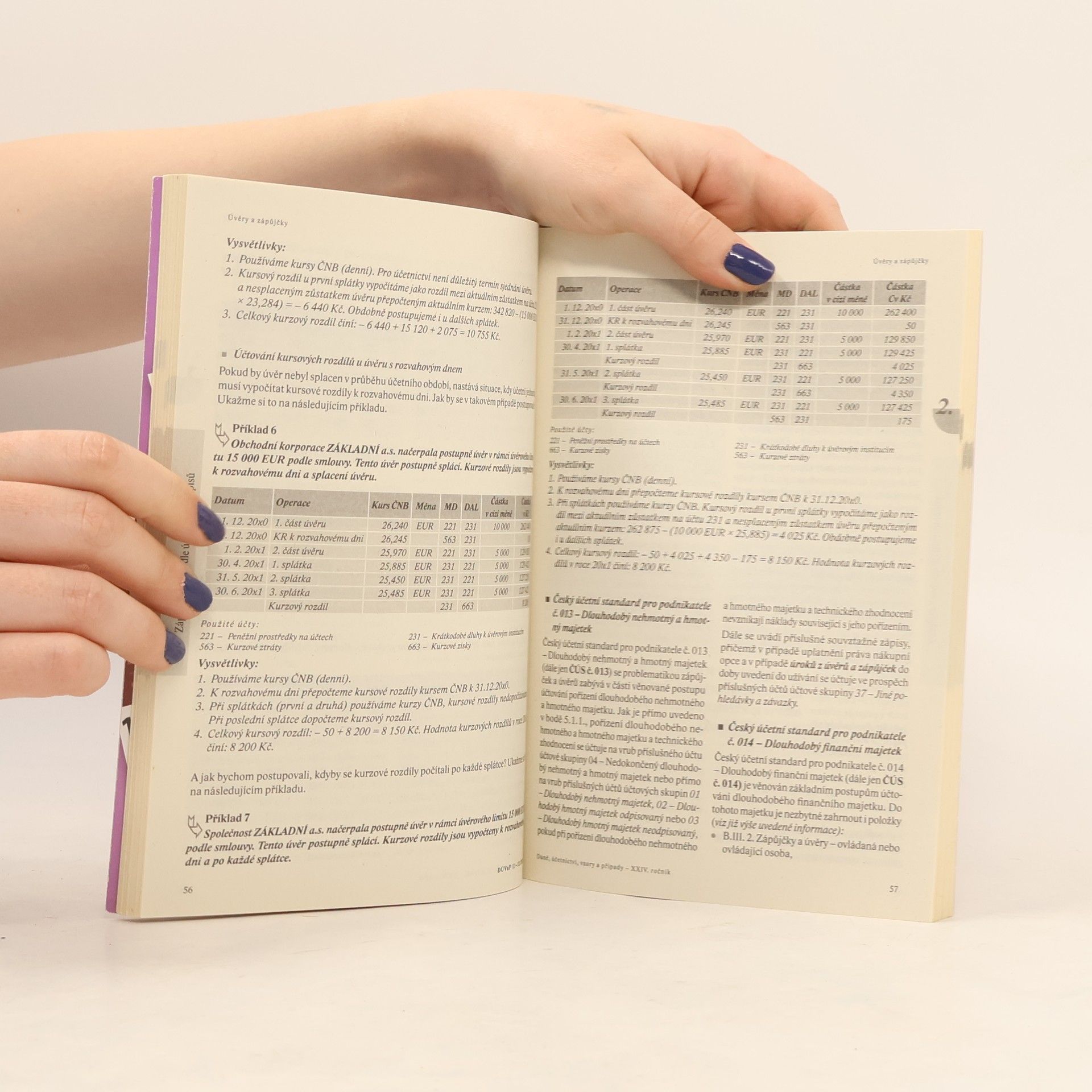 Kolektiv autorů Daně. Účetnictví. Vzory a příklady. 11-12/2023