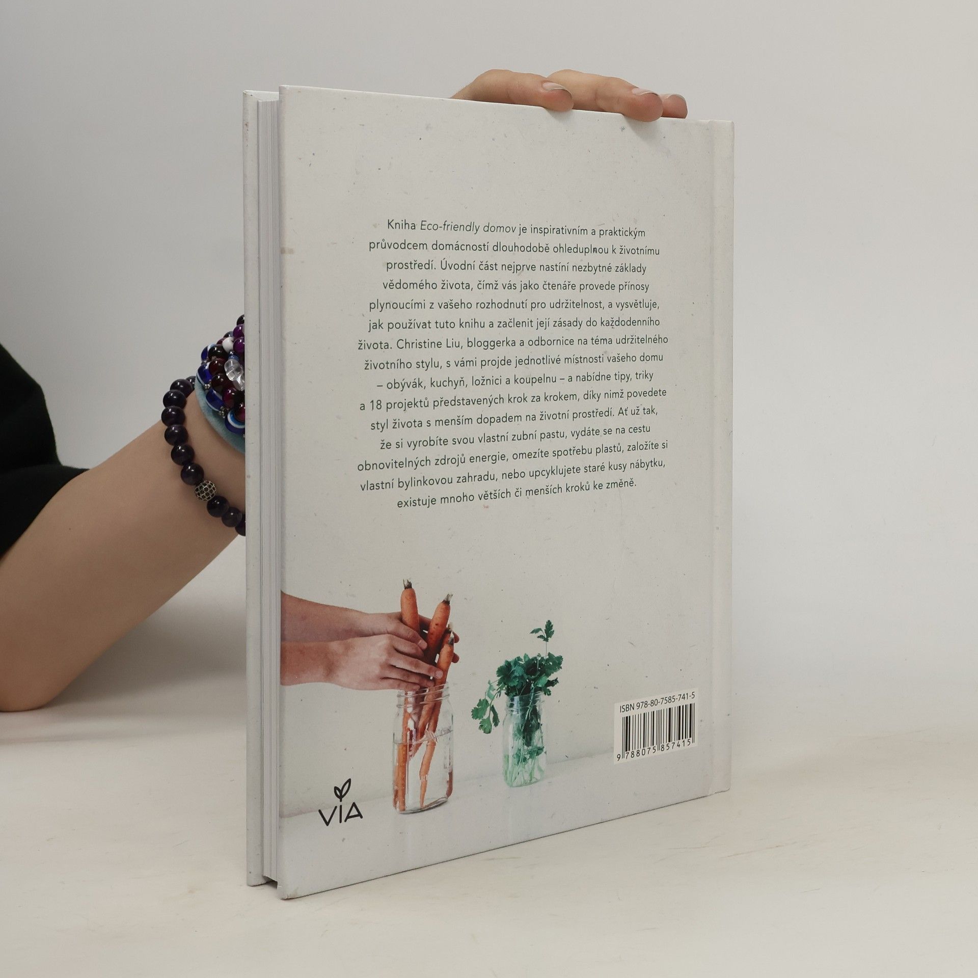 Christine Liu Eco-friendly domov: Praktické projekty, rady a tipy pro ekologicky šetrnější domácnost