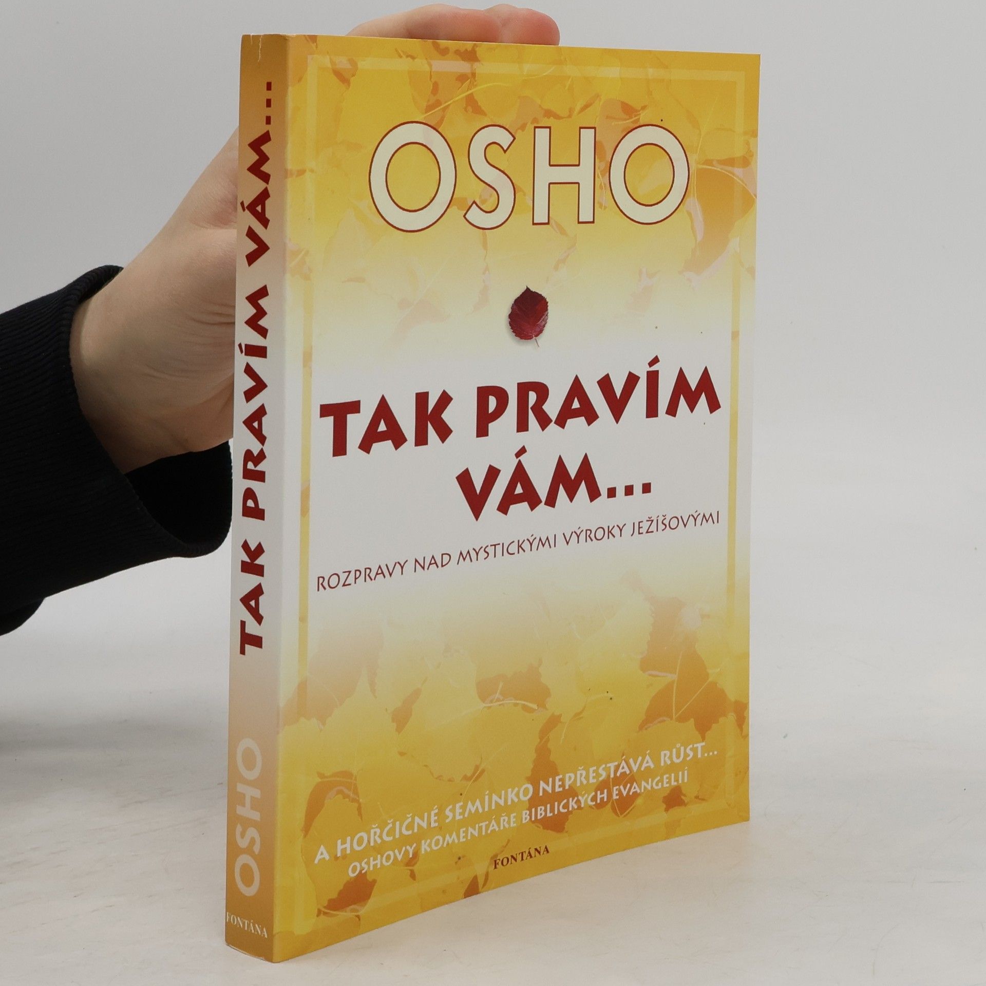 Ošó Tak pravím vám... Rozmluvy o mystických výrocích Ježíšových