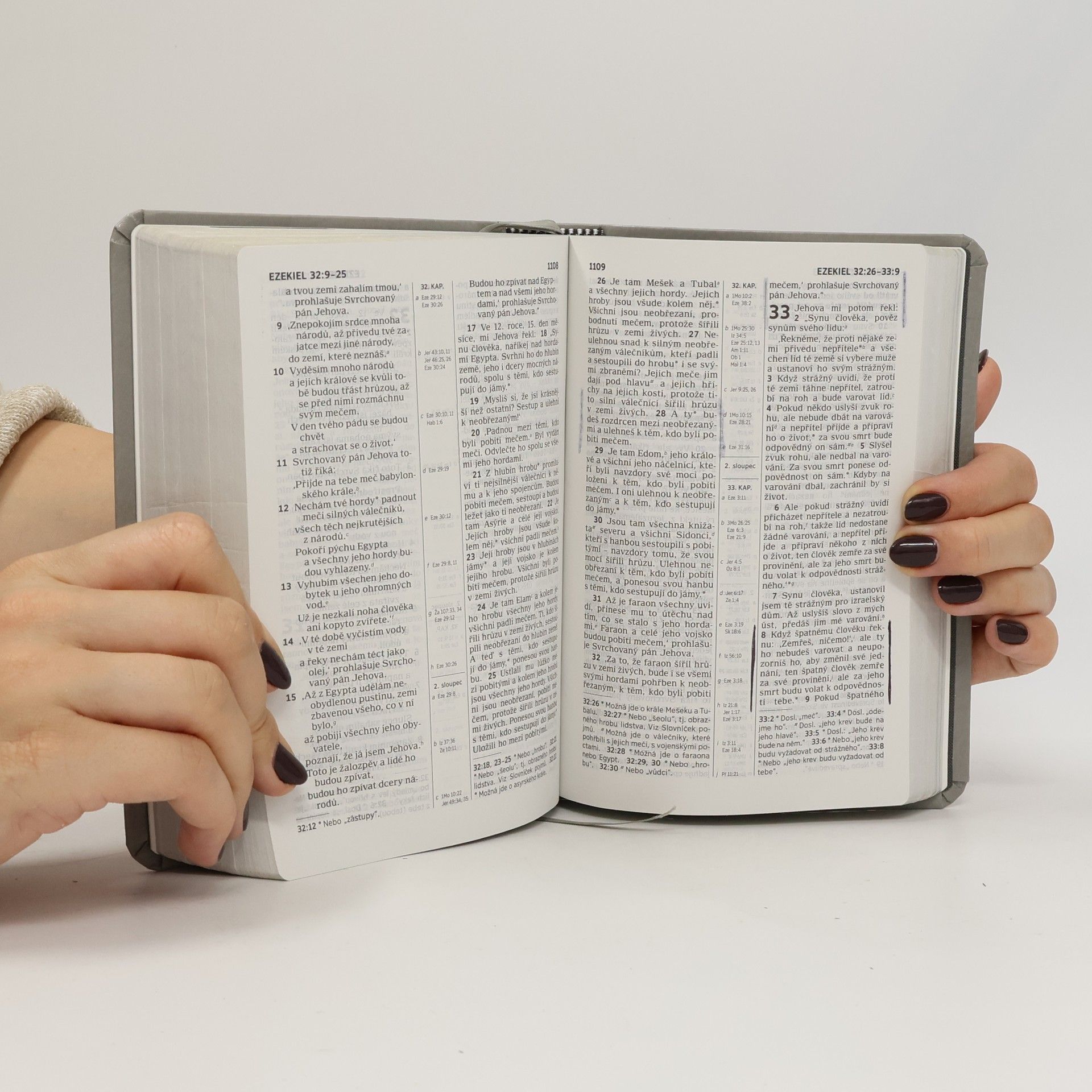 Autorenkollektiv Bible: překlad nového světa
