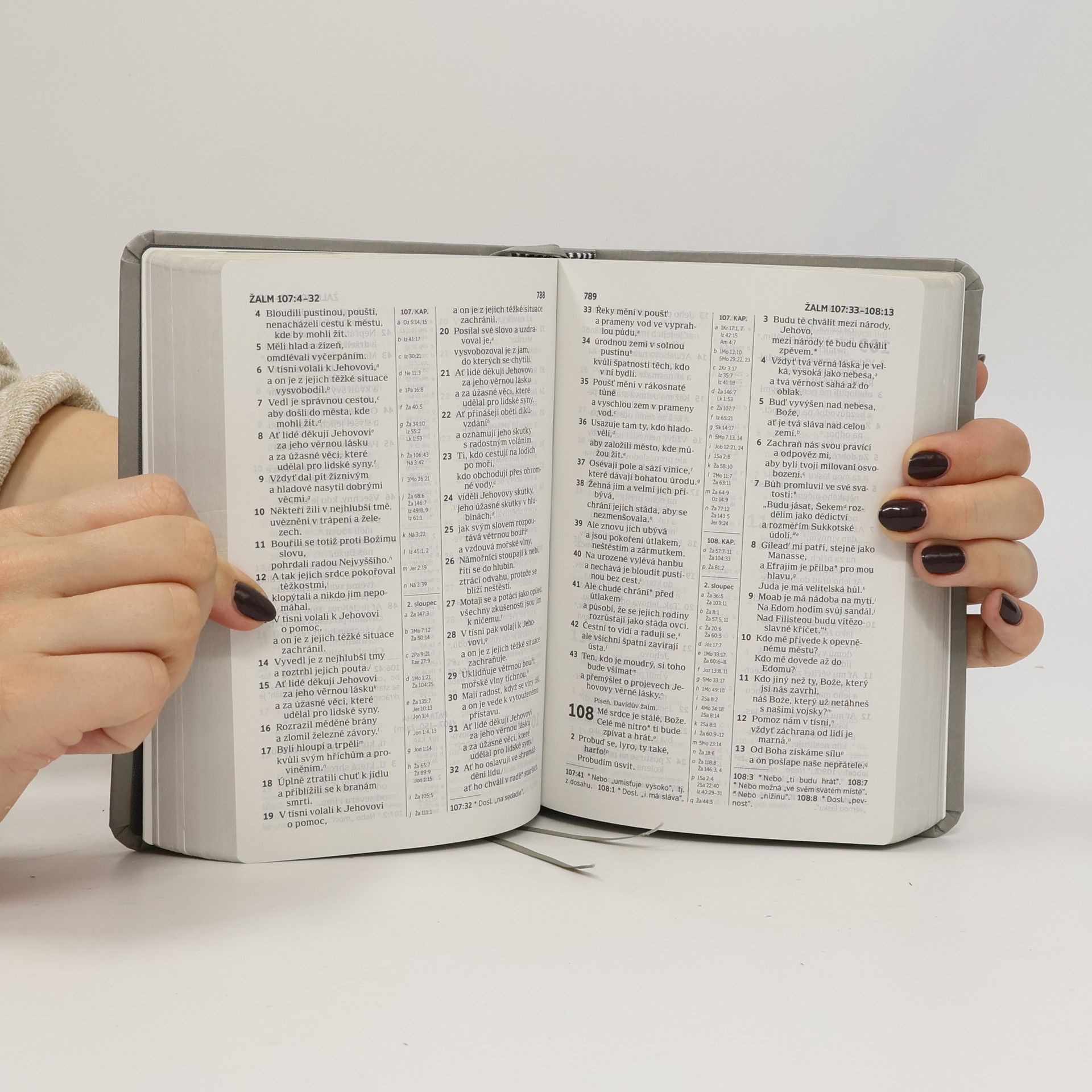 Autorenkollektiv Bible: překlad nového světa
