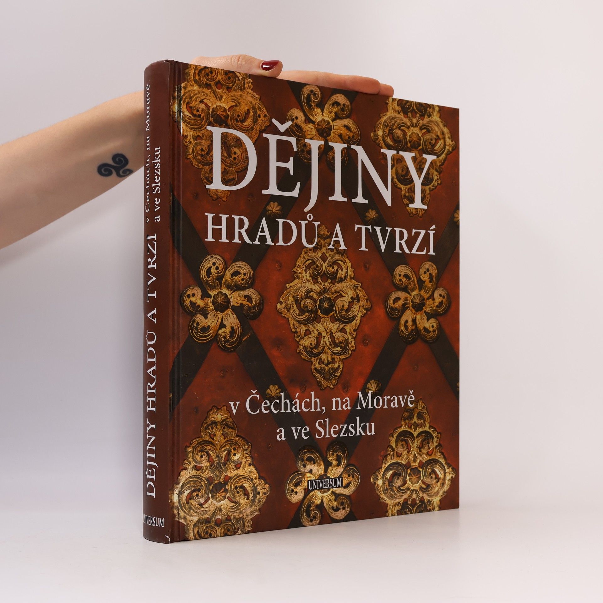 P. David Dějiny hradů a tvrzí v Čechách, na Moravě a ve Slezsku