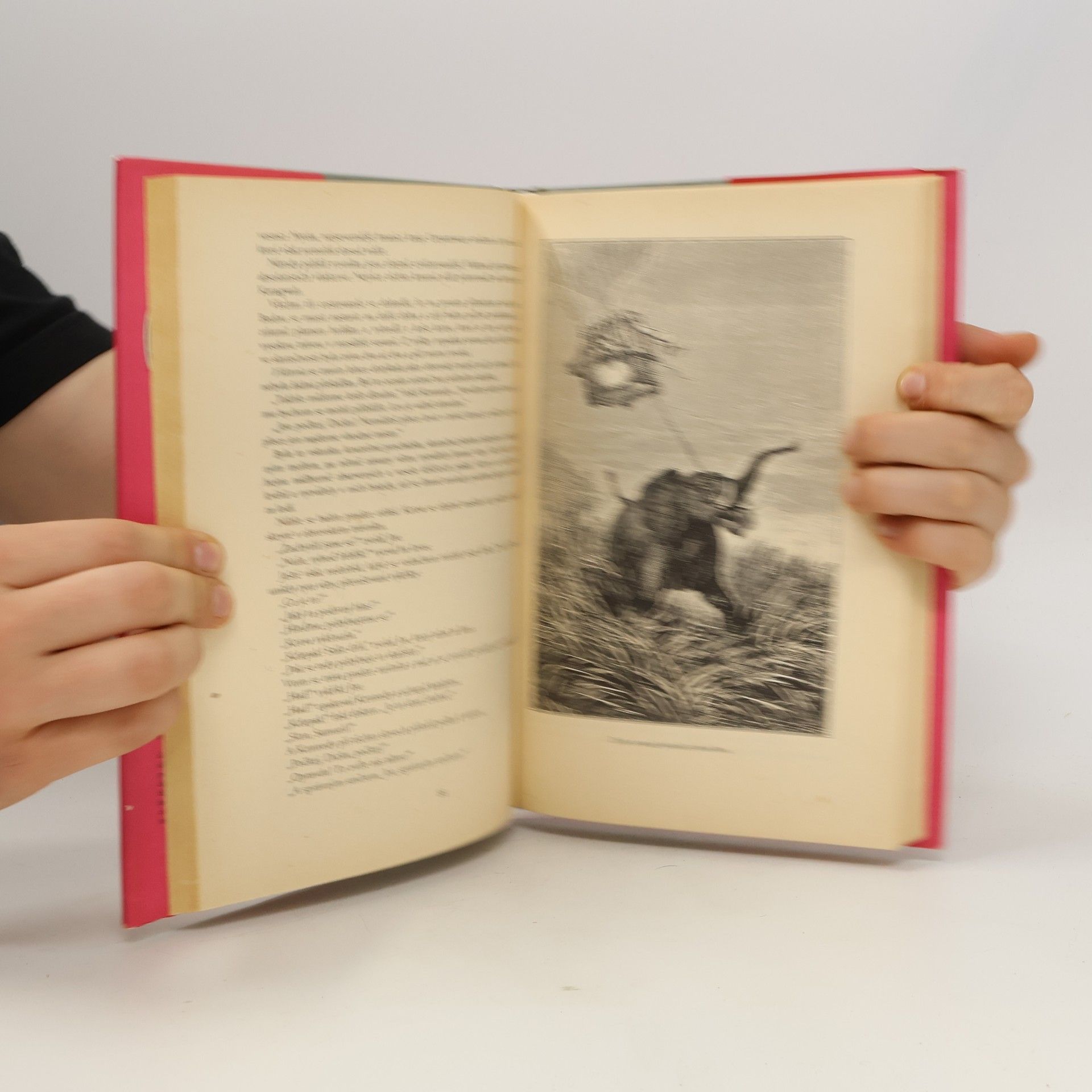 Jules Verne Pět neděl v balónu