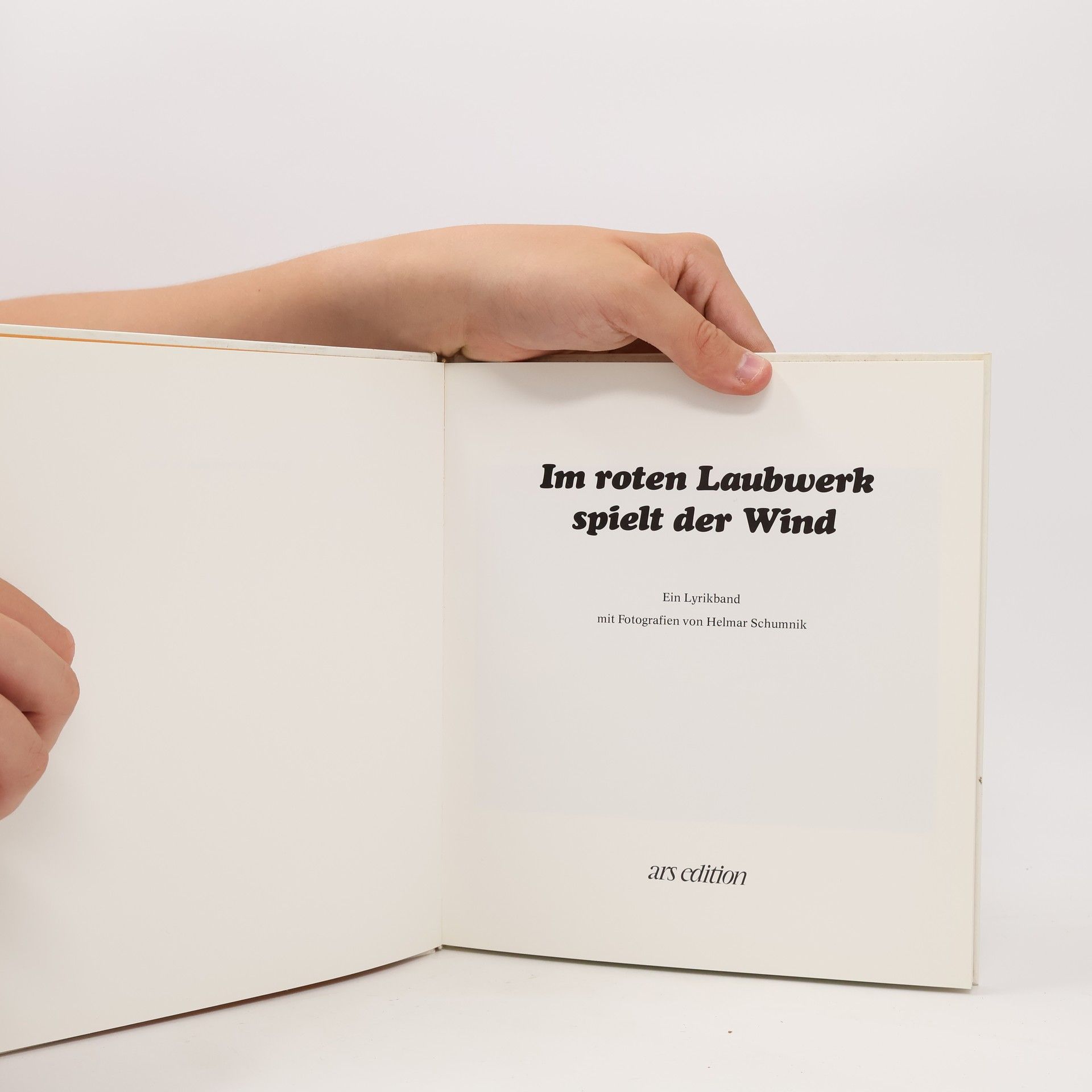 Helmar Schumnik Im roten Laubwerk spielt der Wind