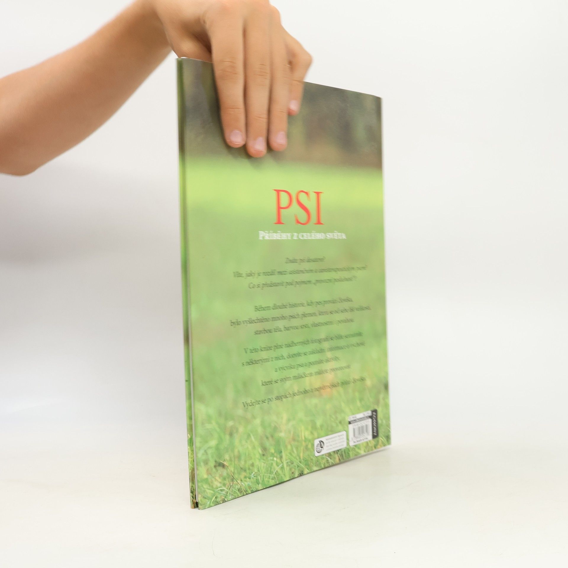Autorenkollektiv Psi - Příběhy z celého světa