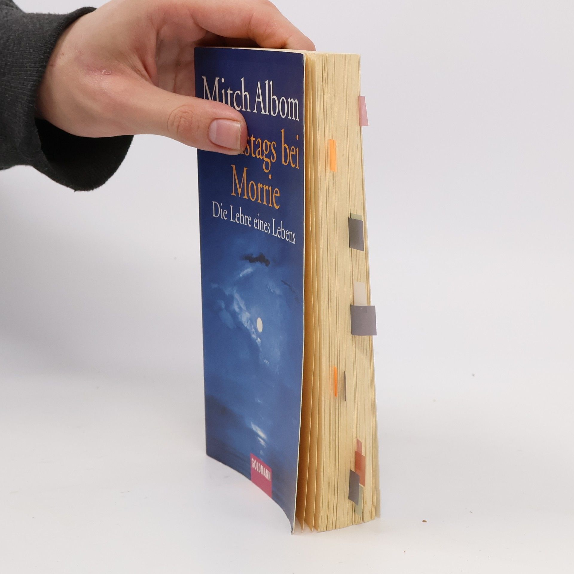 Mitch Albom Dienstags bei Morrie