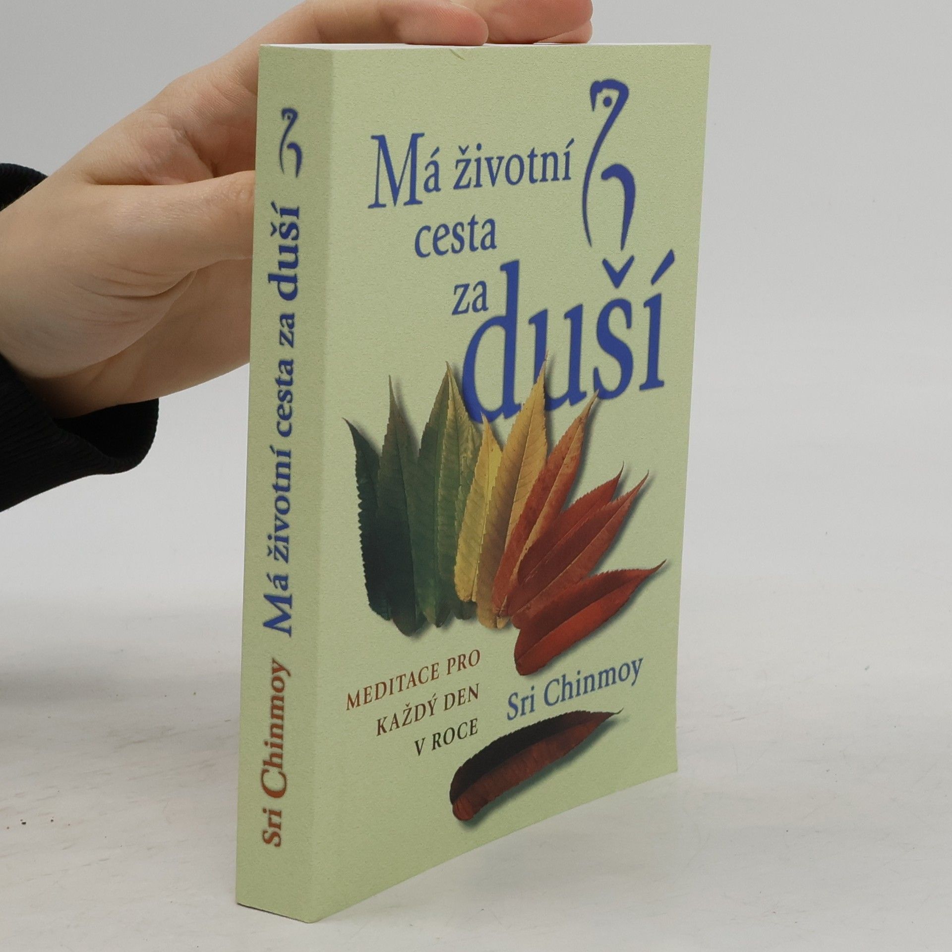 Šrí Činmoj Má životní cesta za duší : meditace pro každý den v roce
