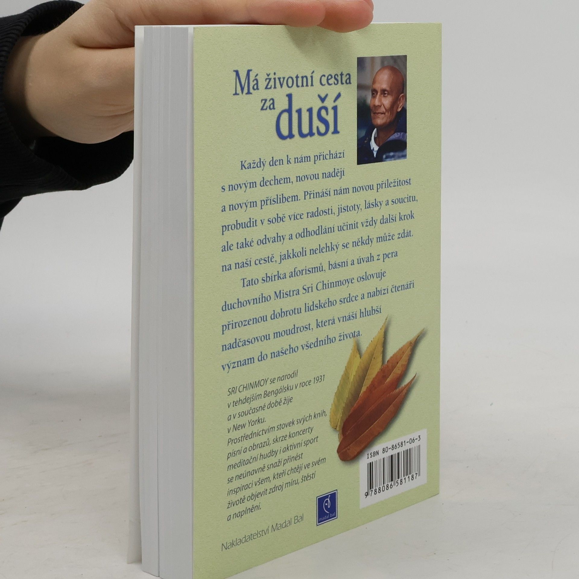 Chinmoy Kumar Ghose Má životní cesta za duší : meditace pro každý den v roce