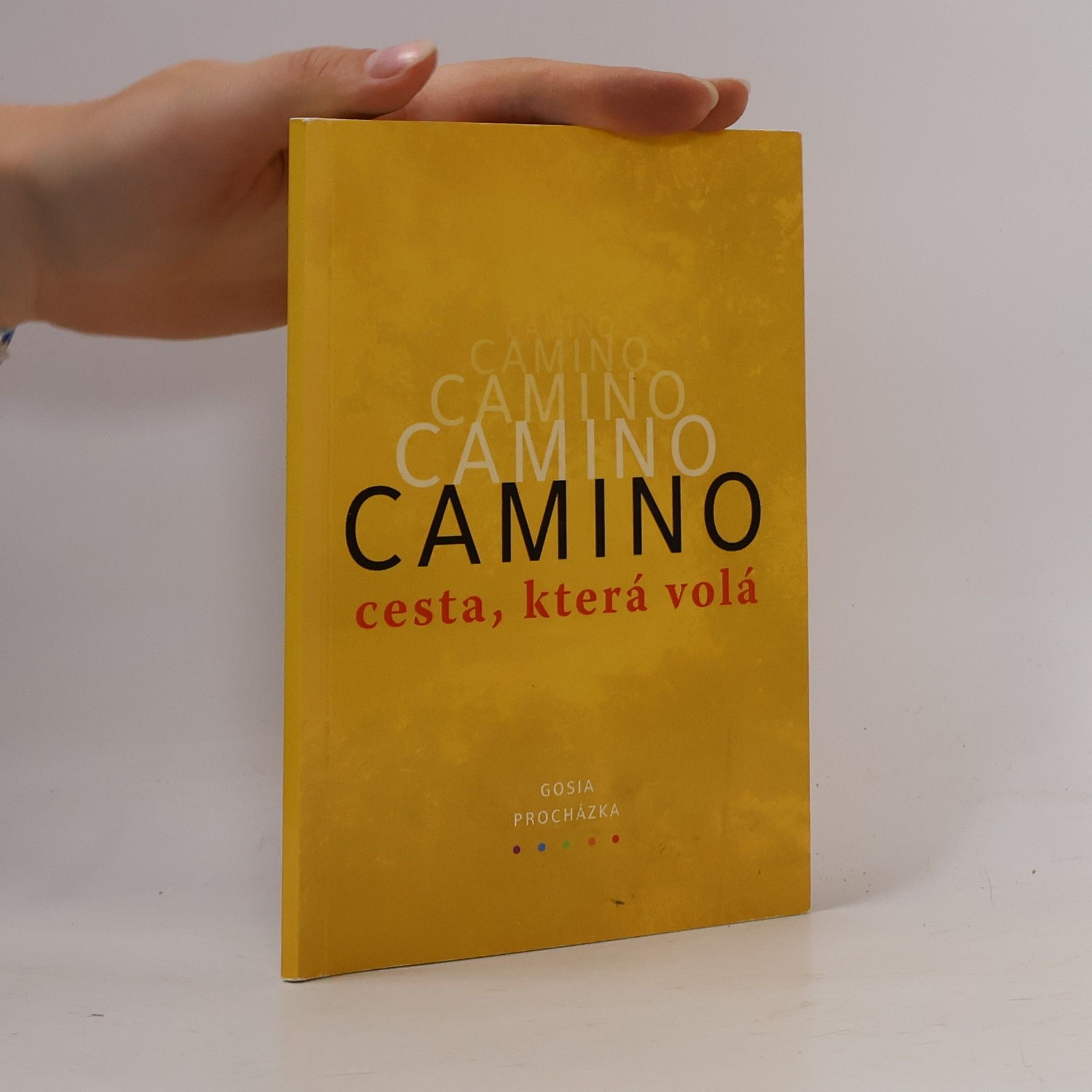 Autores varios Camino. Cesta, která volá