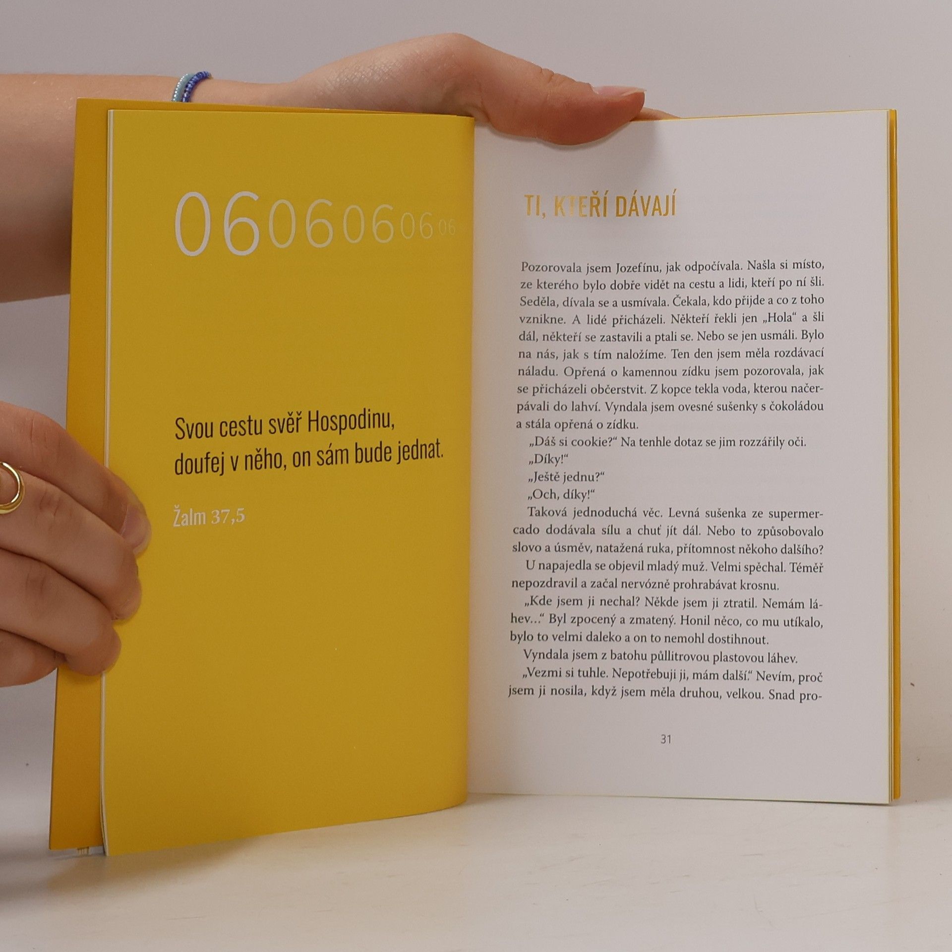 Autorenkollektiv Camino. Cesta, která volá