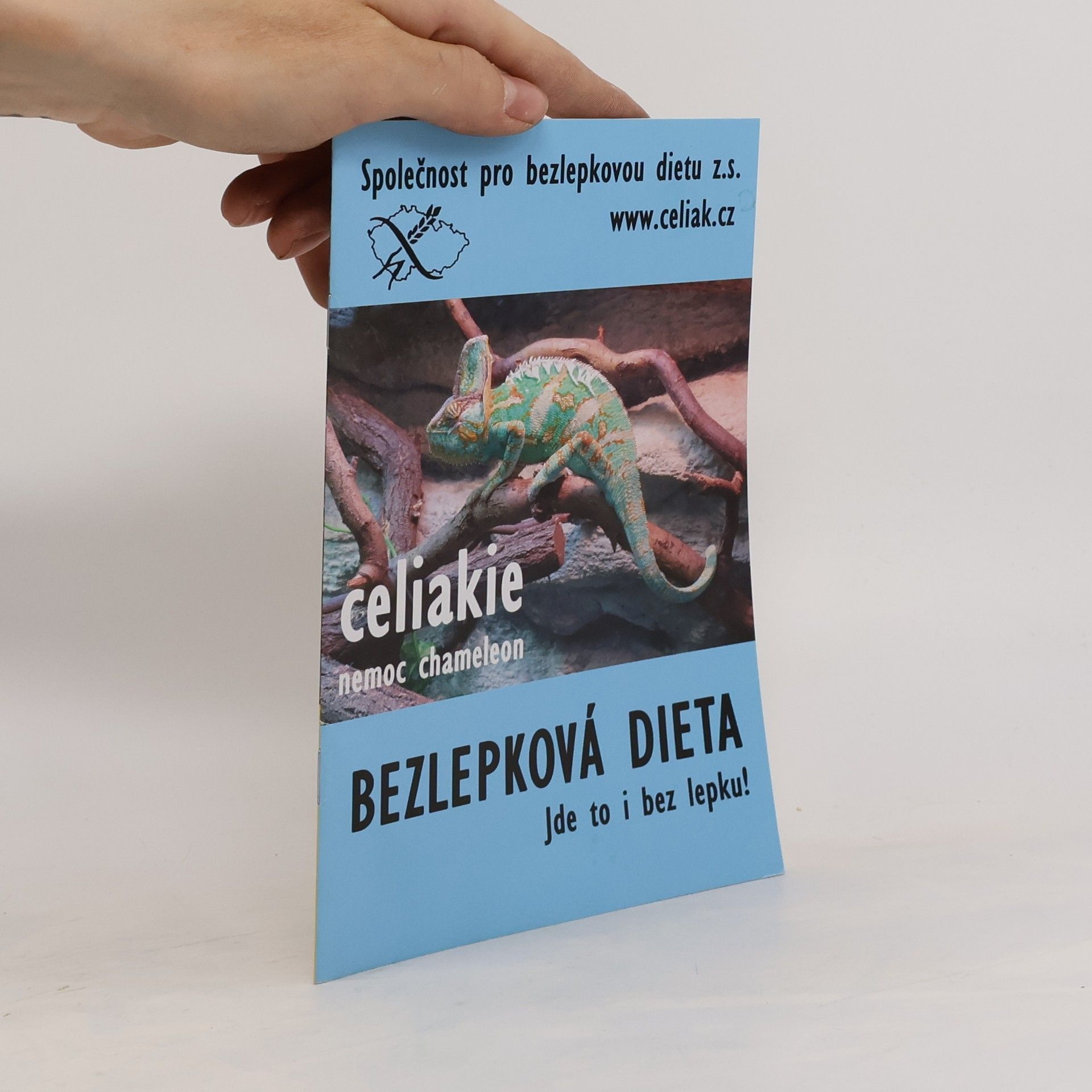 Lucie Kazdová Bez lepku : sladké i slané recepty