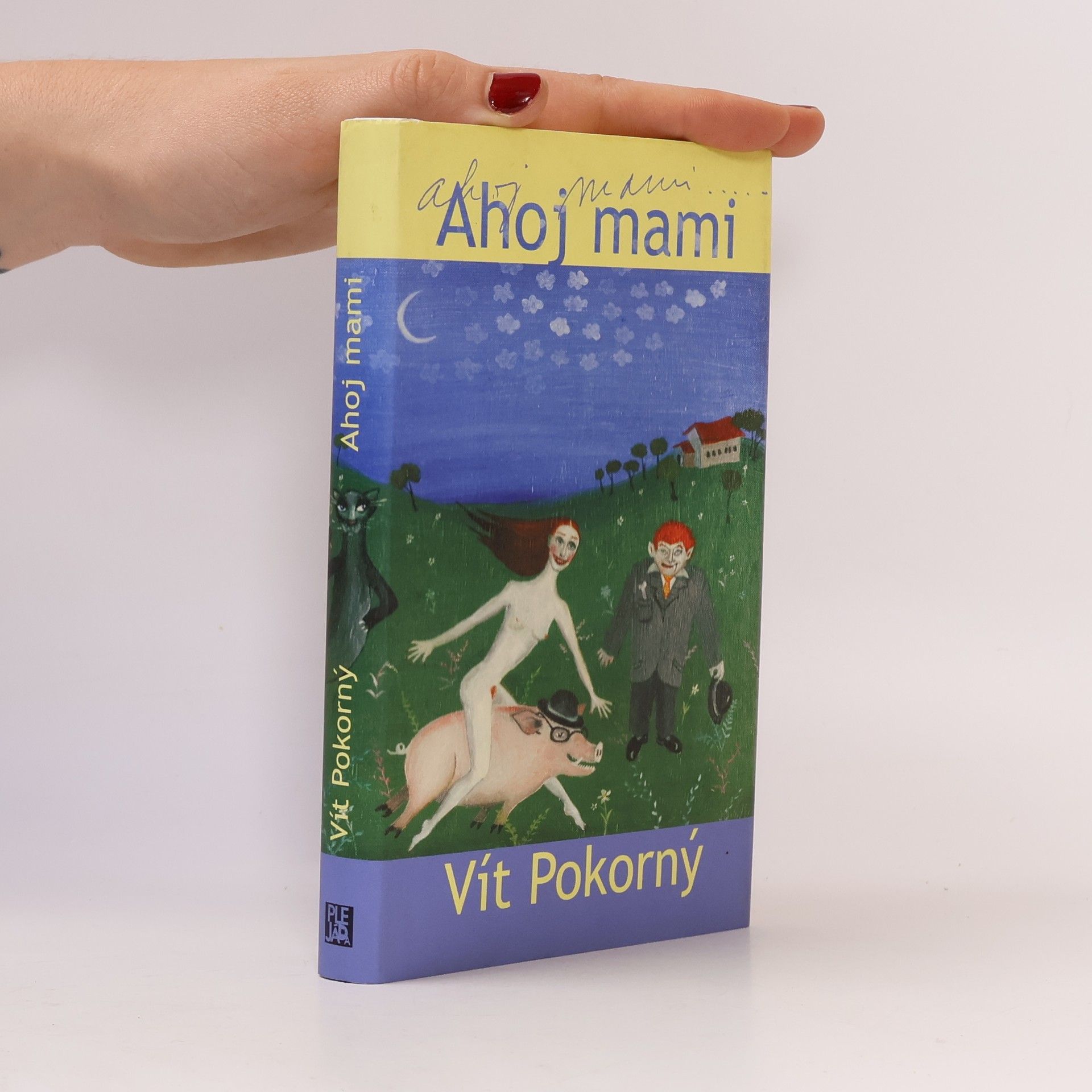 Vít Pokorný Ahoj mami