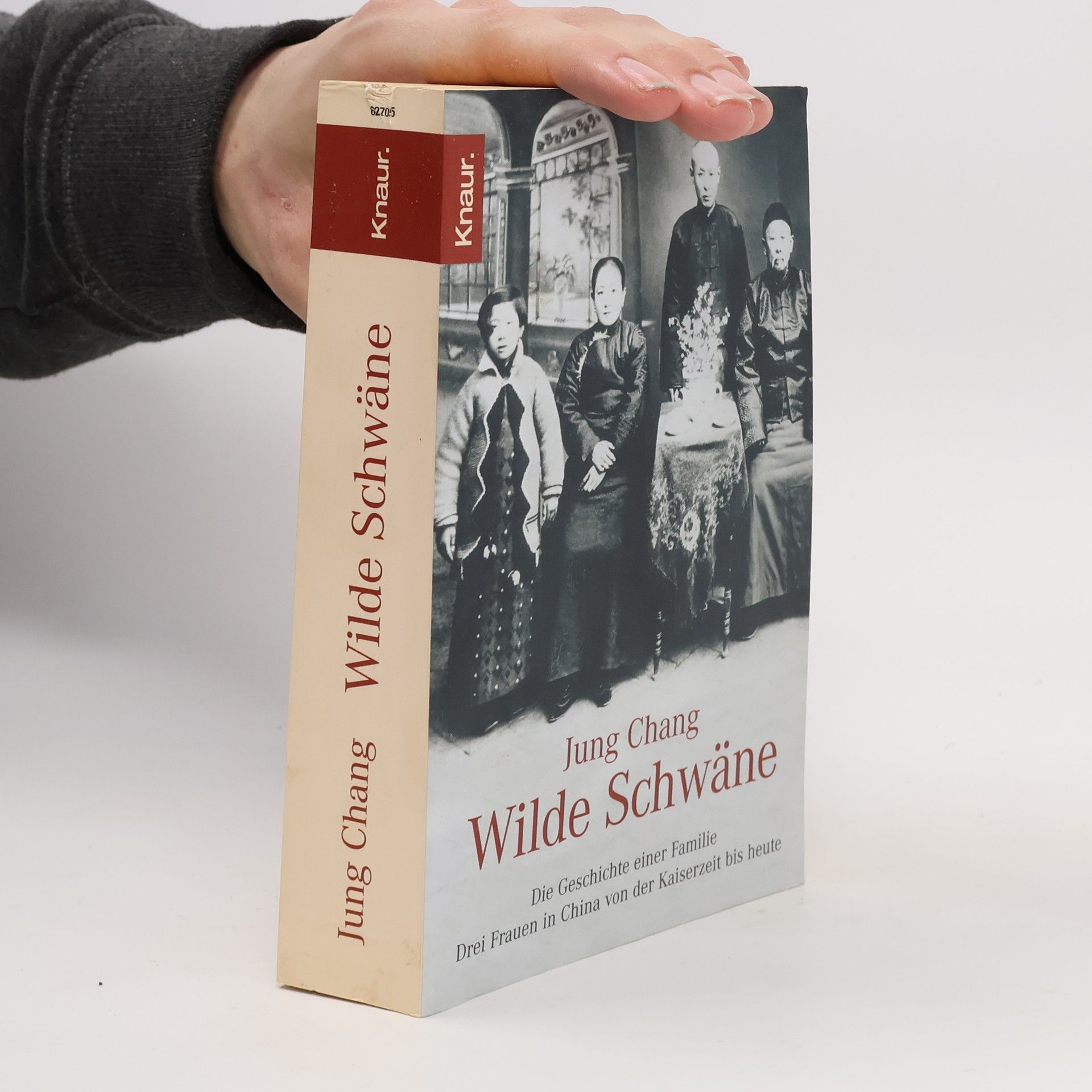 Jung Chang Wilde Schwäne