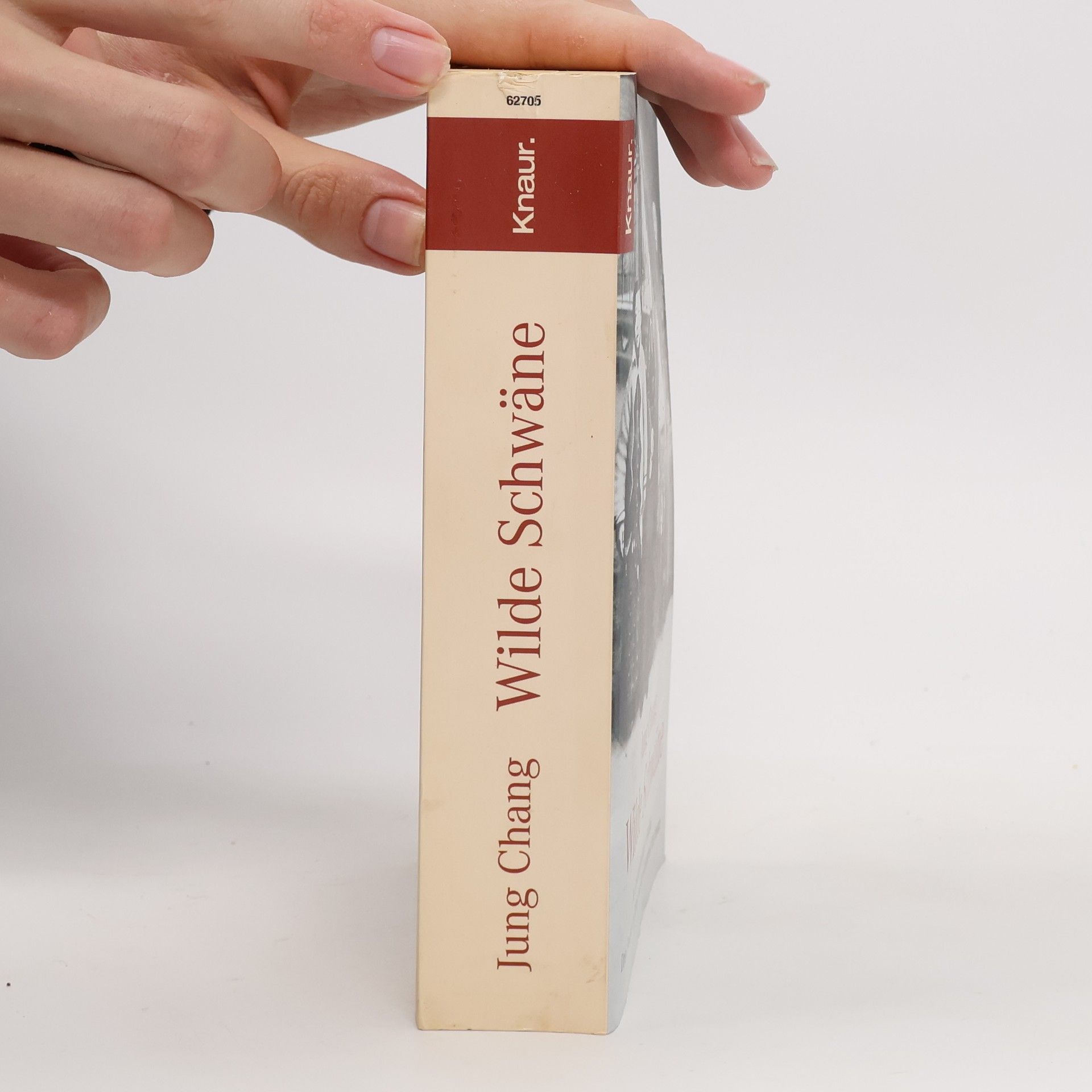 Jung Chang Wilde Schwäne