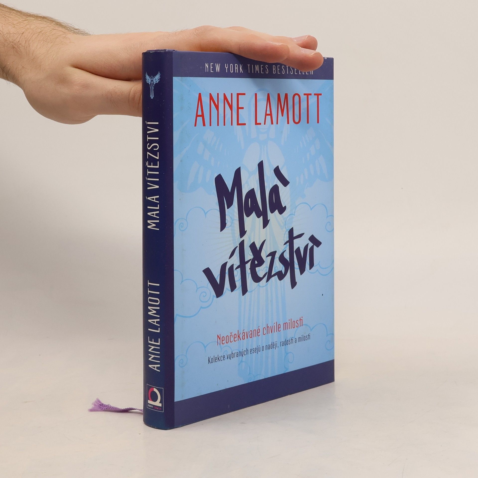 Anne Lamott Malá vítězství