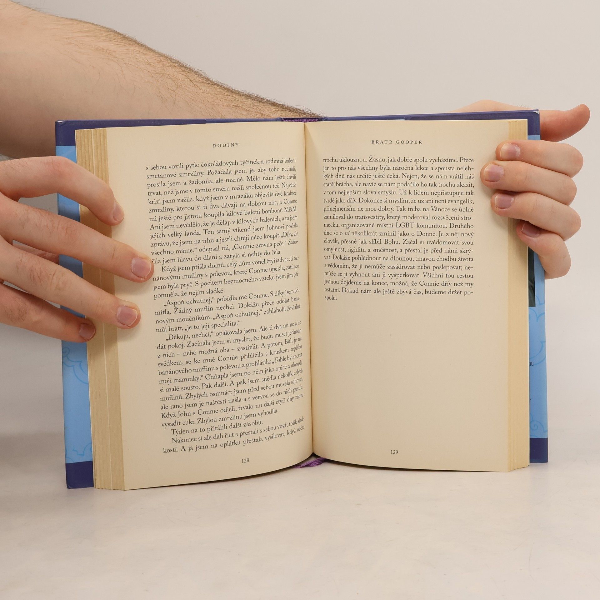 Anne Lamott Malá vítězství