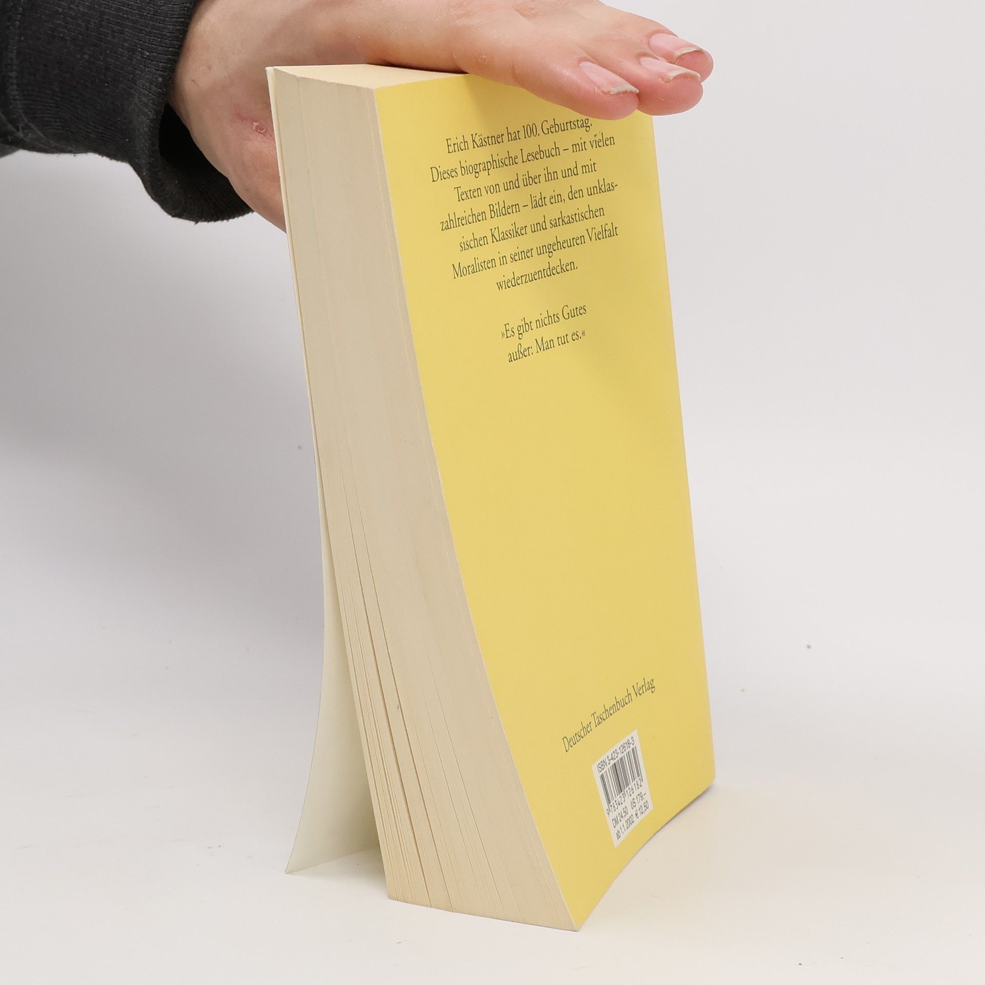 Erich Kästner Das große Erich-Kästner-Lesebuch