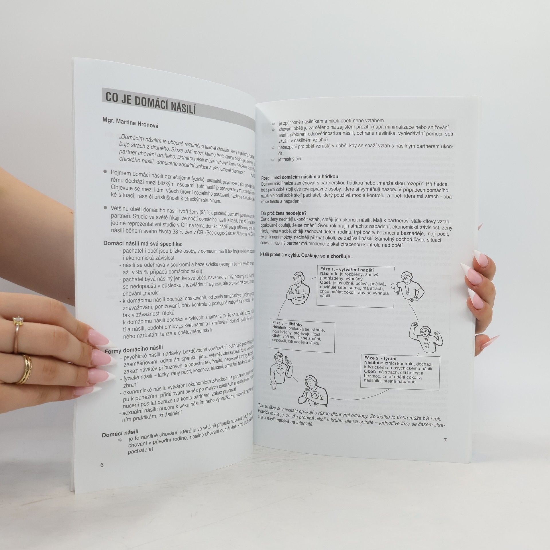 Autorenkollektiv Škola a děti vystavené domácímu násilí