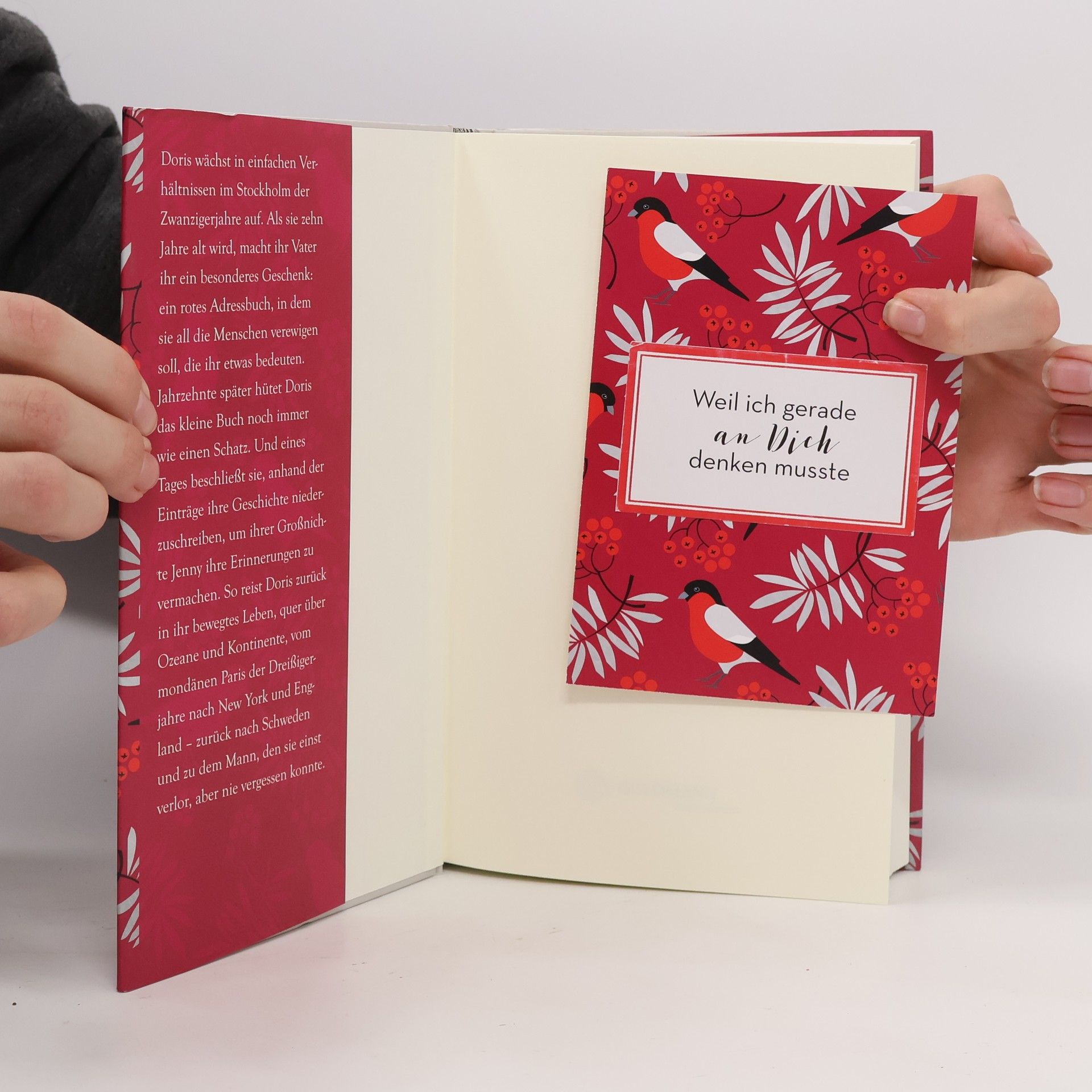 Sofia Lundberg Das rote Adressbuch