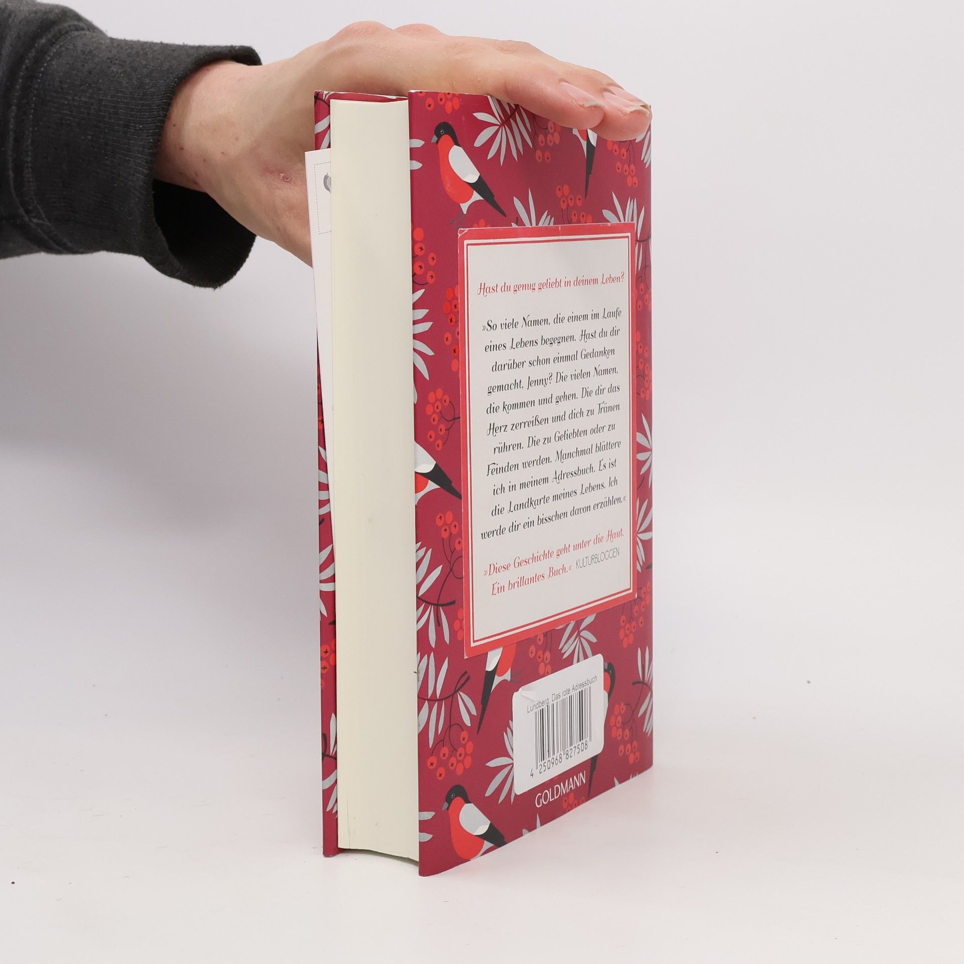 Sofia Lundberg Das rote Adressbuch