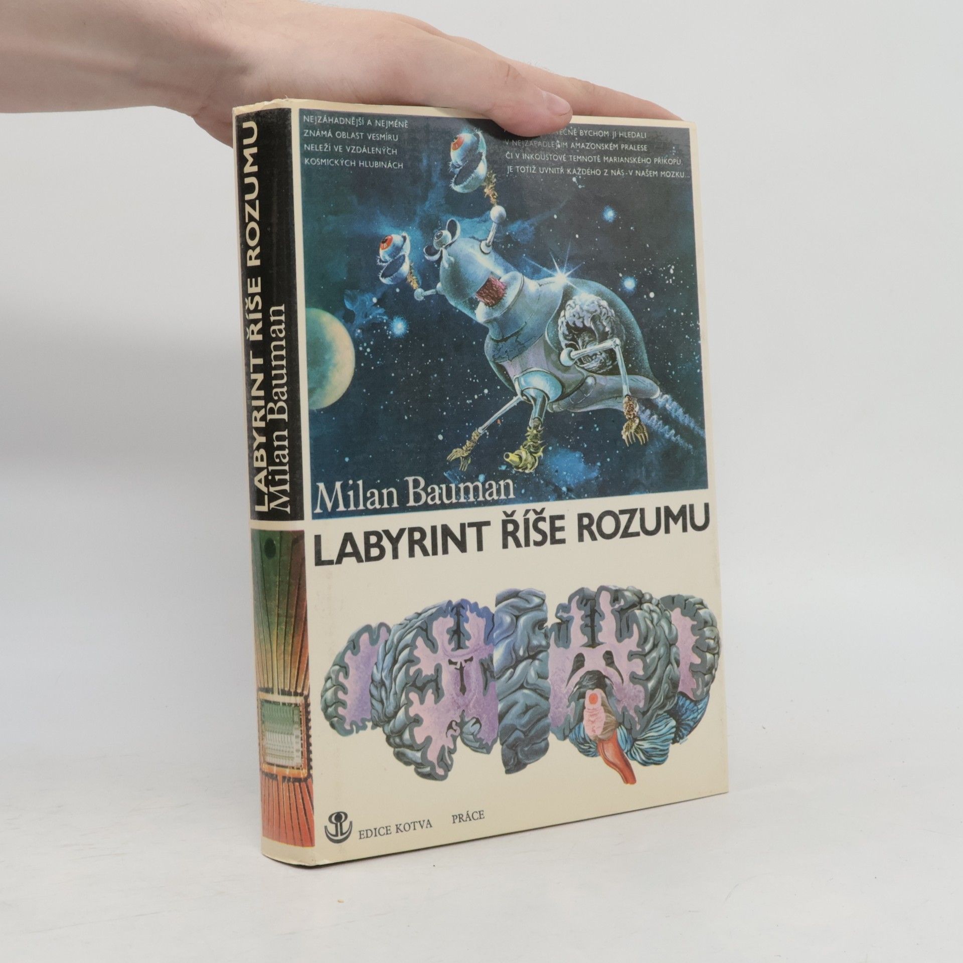 Milan Bauman Labyrint říše rozumu