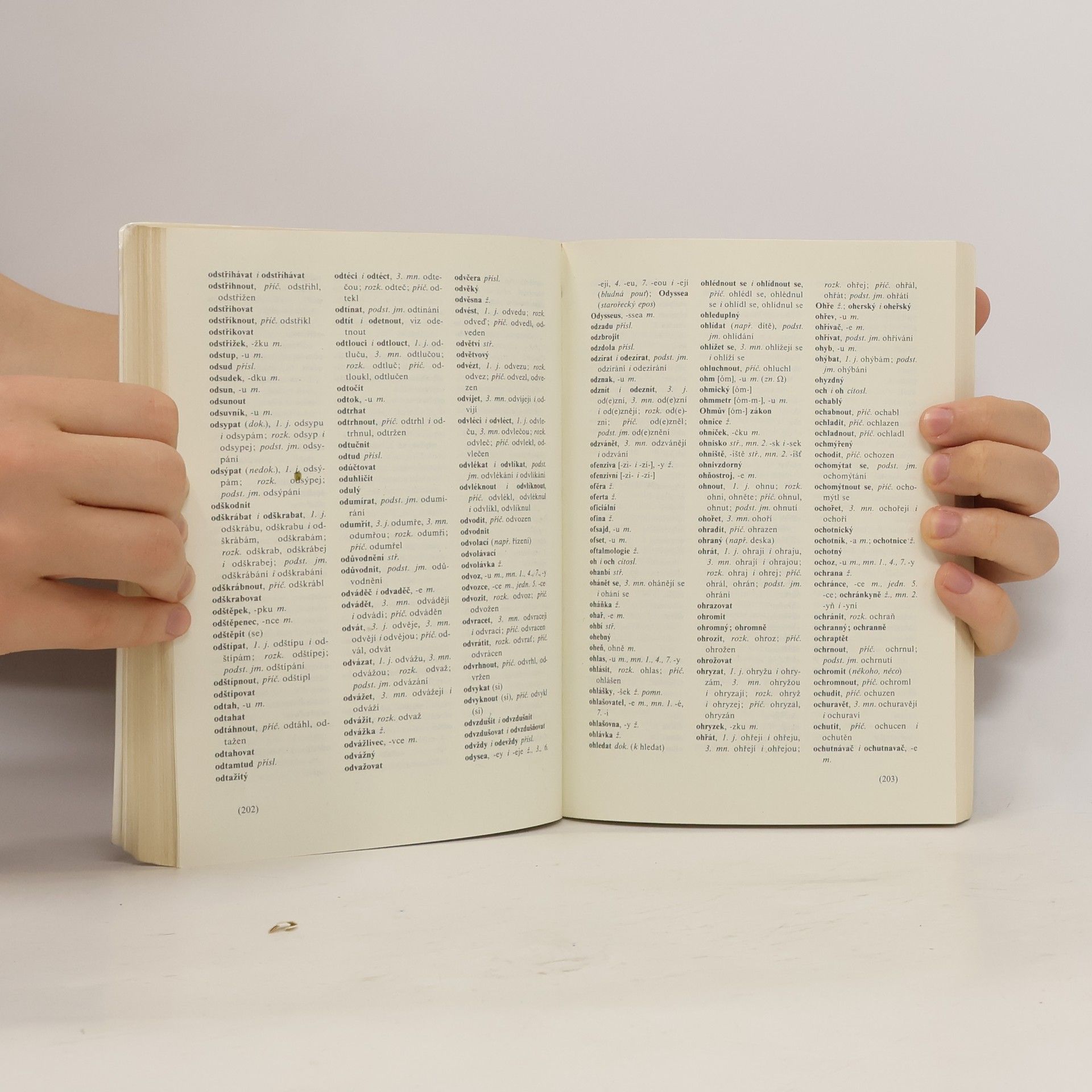 Autorenkollektiv Pravidla českého pravopisu