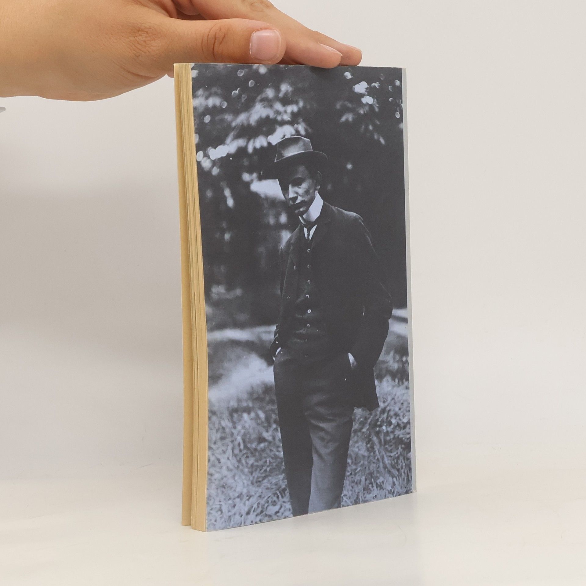 Hans Saner Karl Jaspers