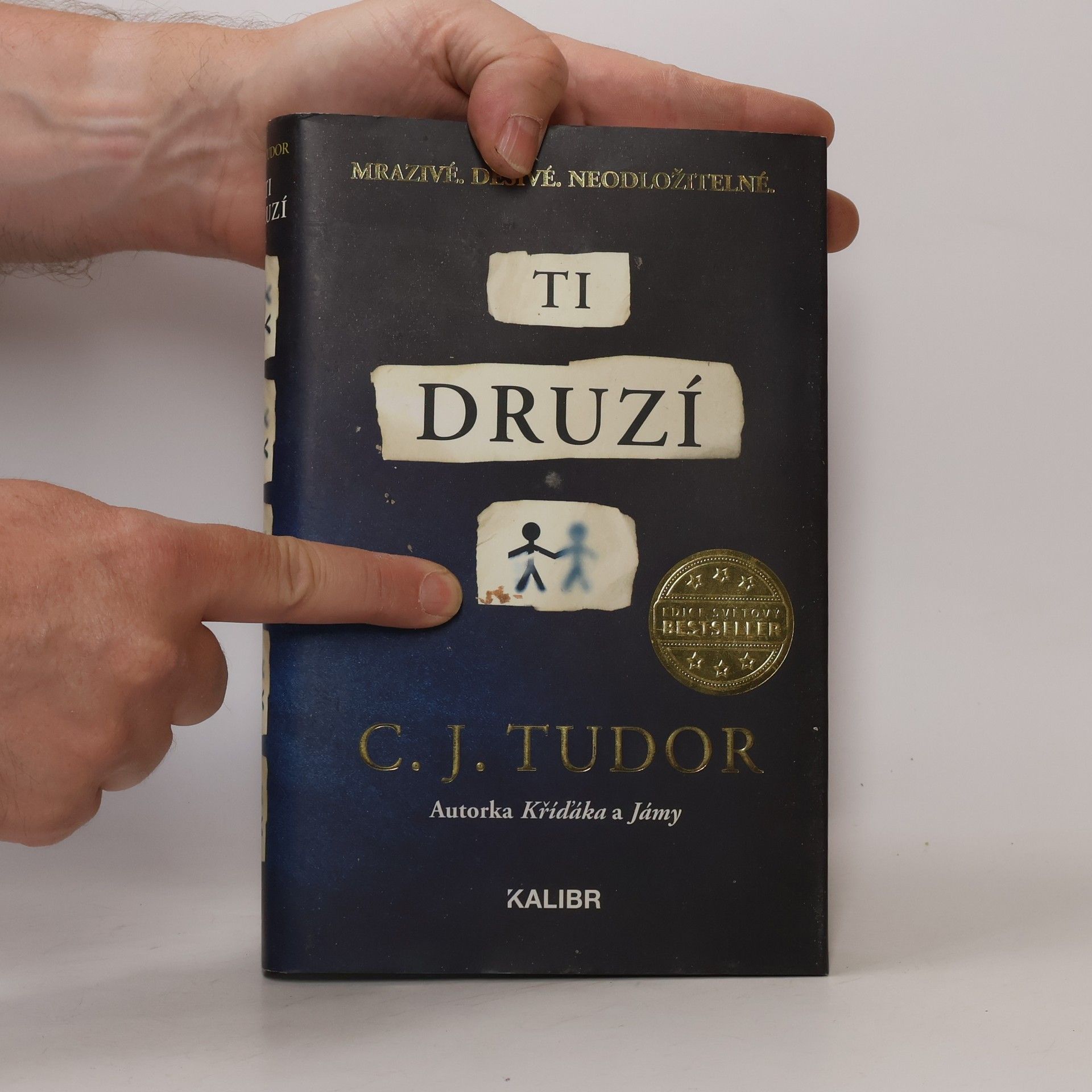 C.J. Tudor Ti druzí