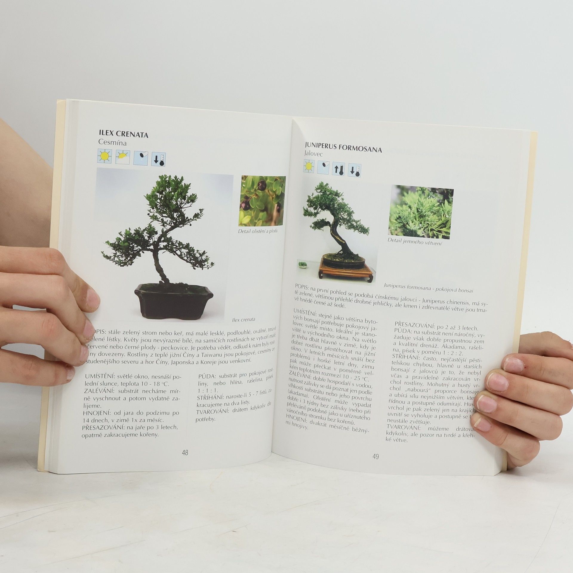 Jaroslav Pišl Bonsai nejen v paneláku