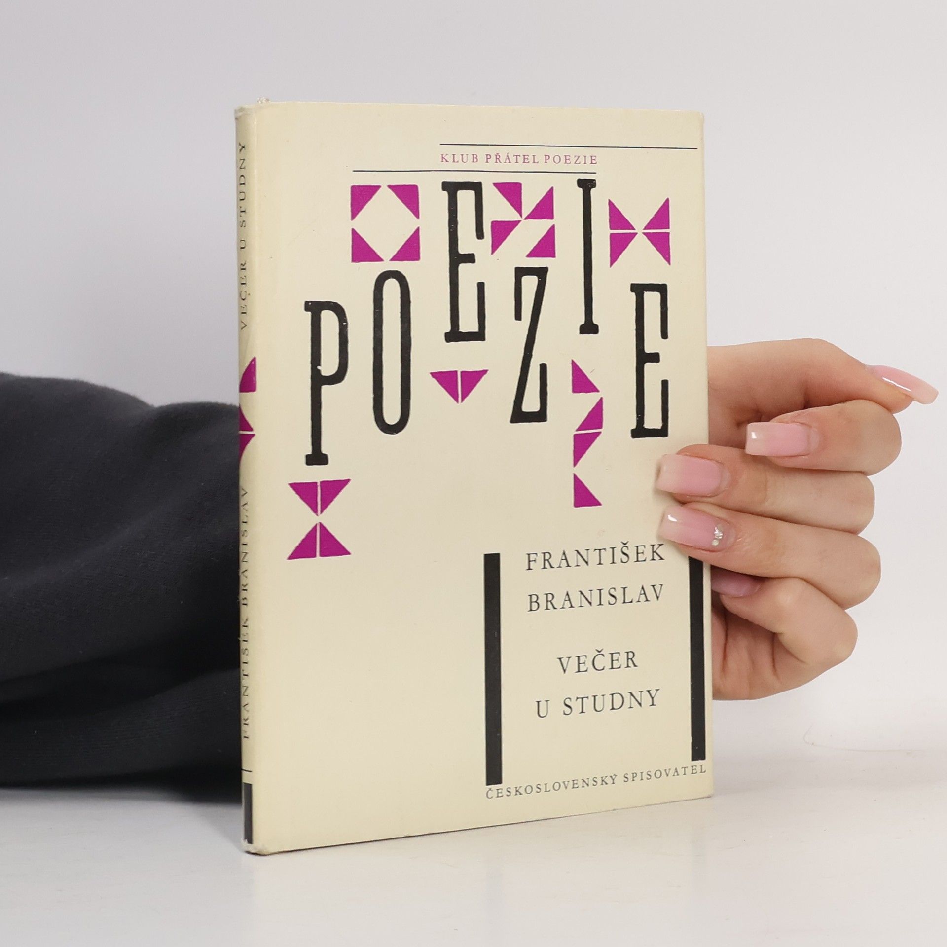 František Branislav Večer u studny