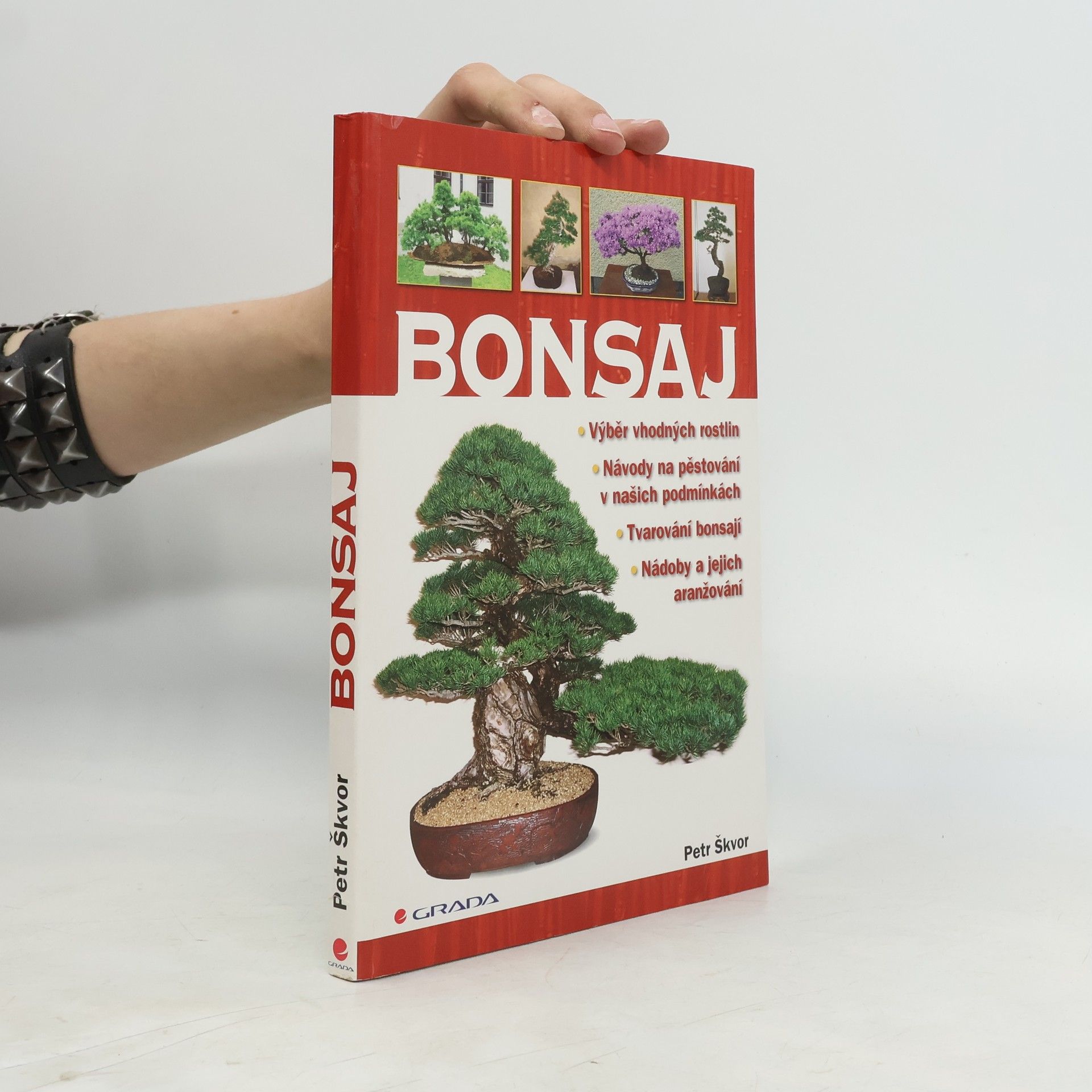Petr Škvor Bonsaj